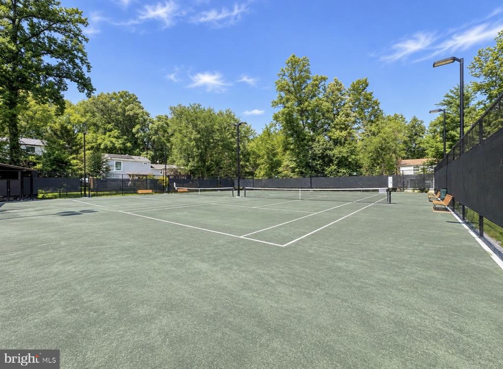 11550 IVY BUSH COURT