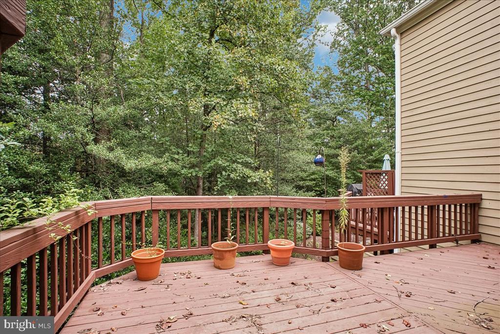 11410 HOLLOW TIMBER WAY
