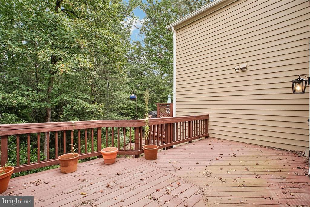 11410 HOLLOW TIMBER WAY