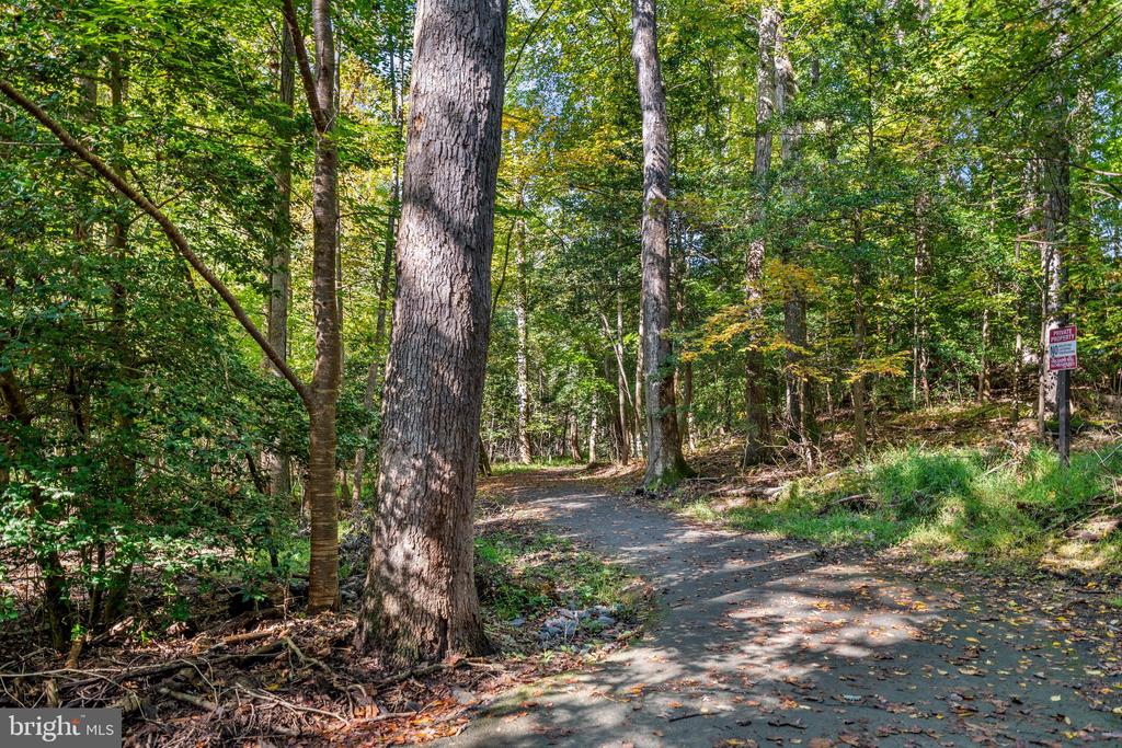 11709 KARBON HILL COURT Unit: 602A