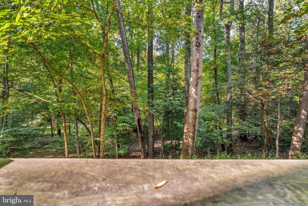 11709 KARBON HILL COURT Unit: 602A