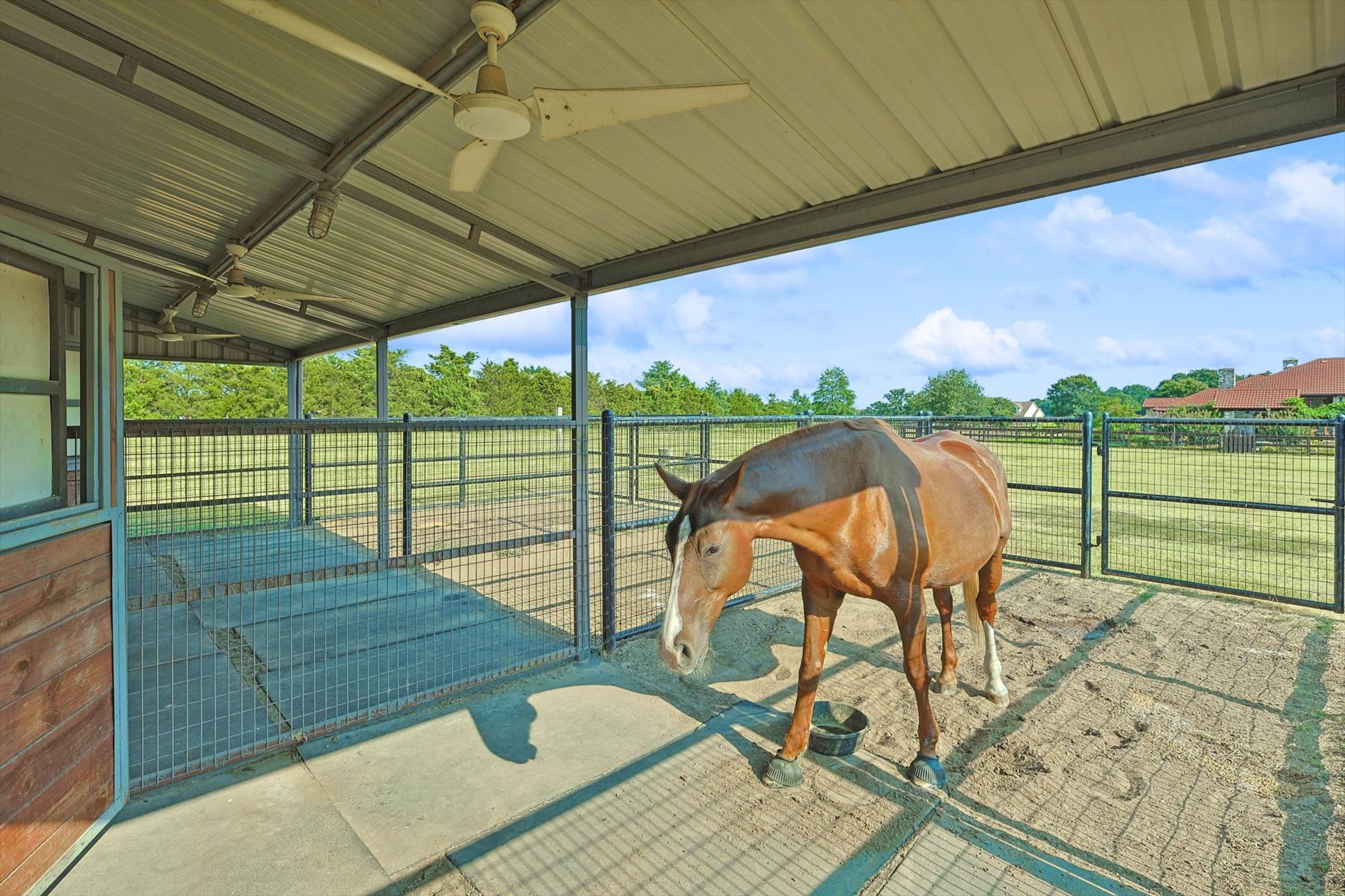 1672 Barrington Hills Boulevard