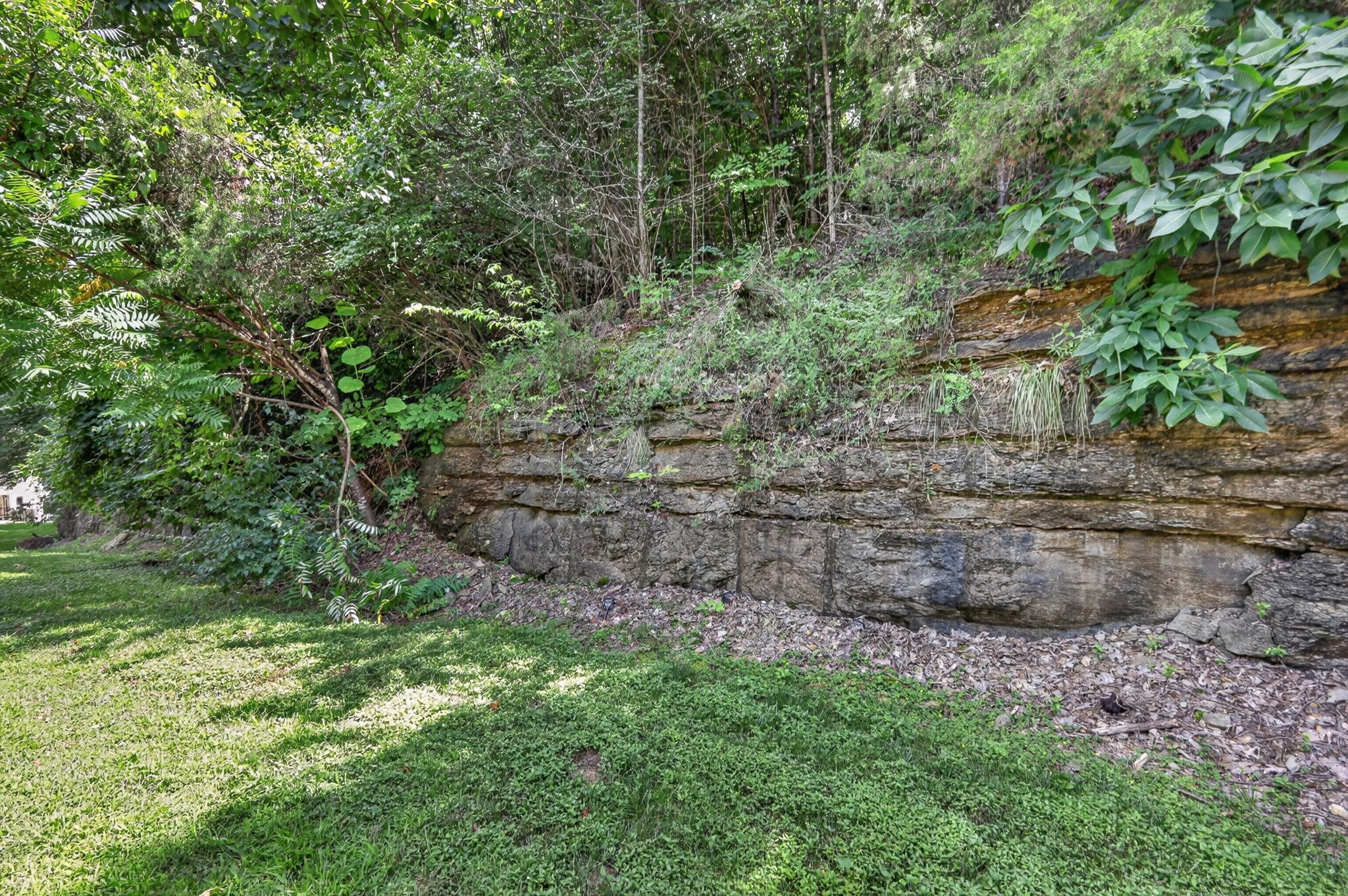 1071 Woodbury Falls Dr