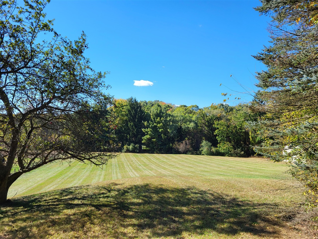 2520 Lake George Road