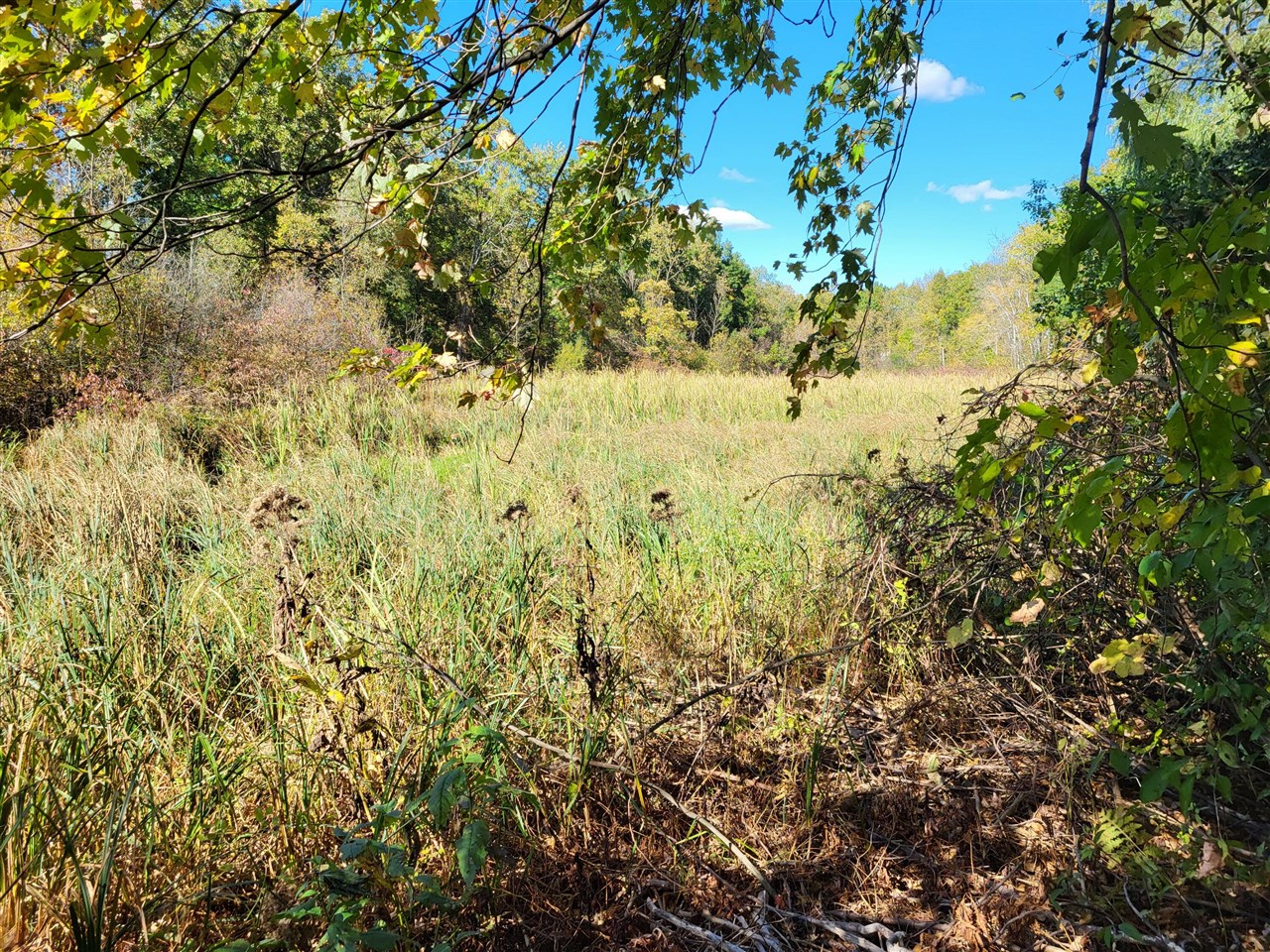 2520 Lake George Road