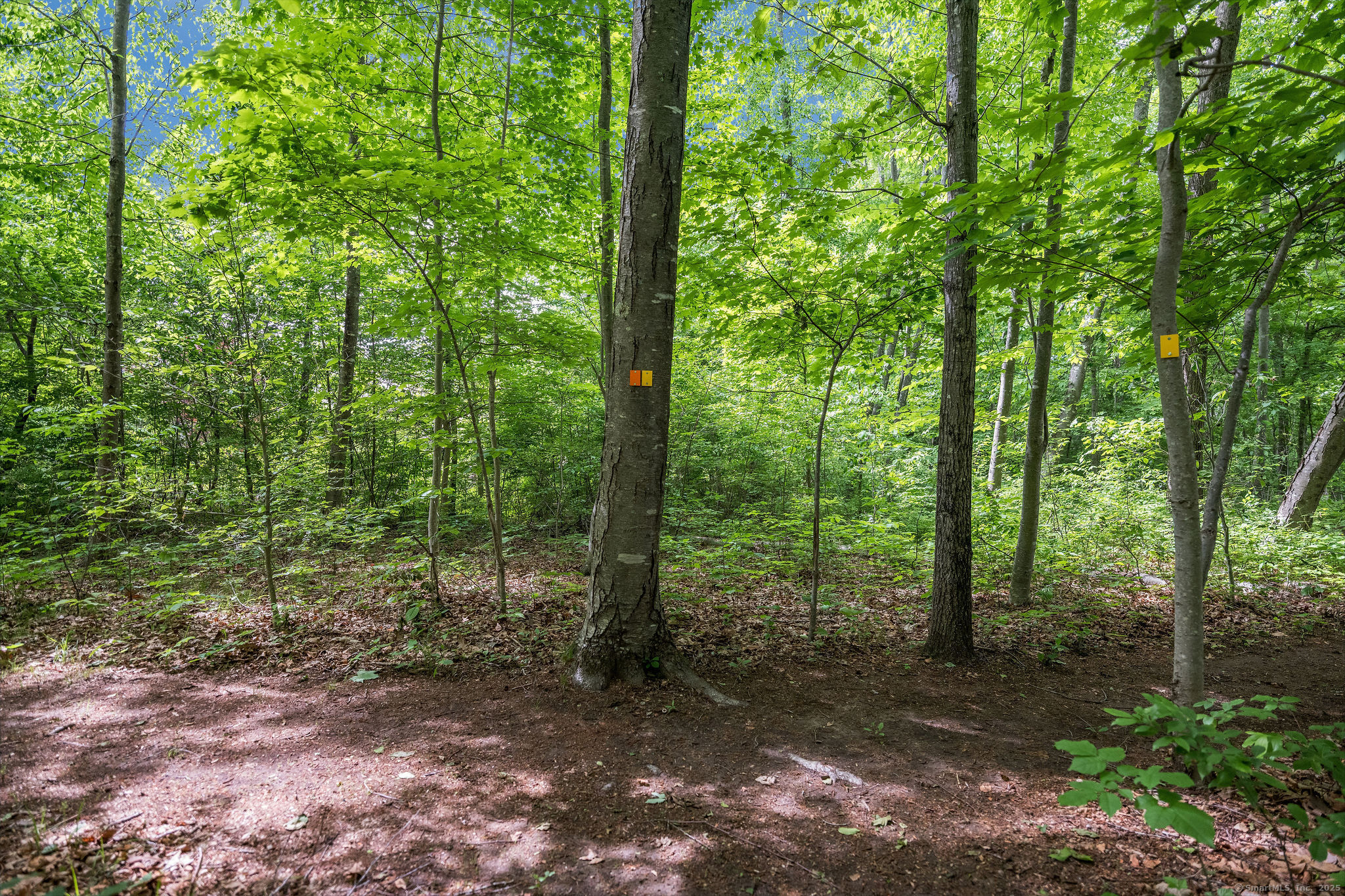 173 Bradley Corners Road
