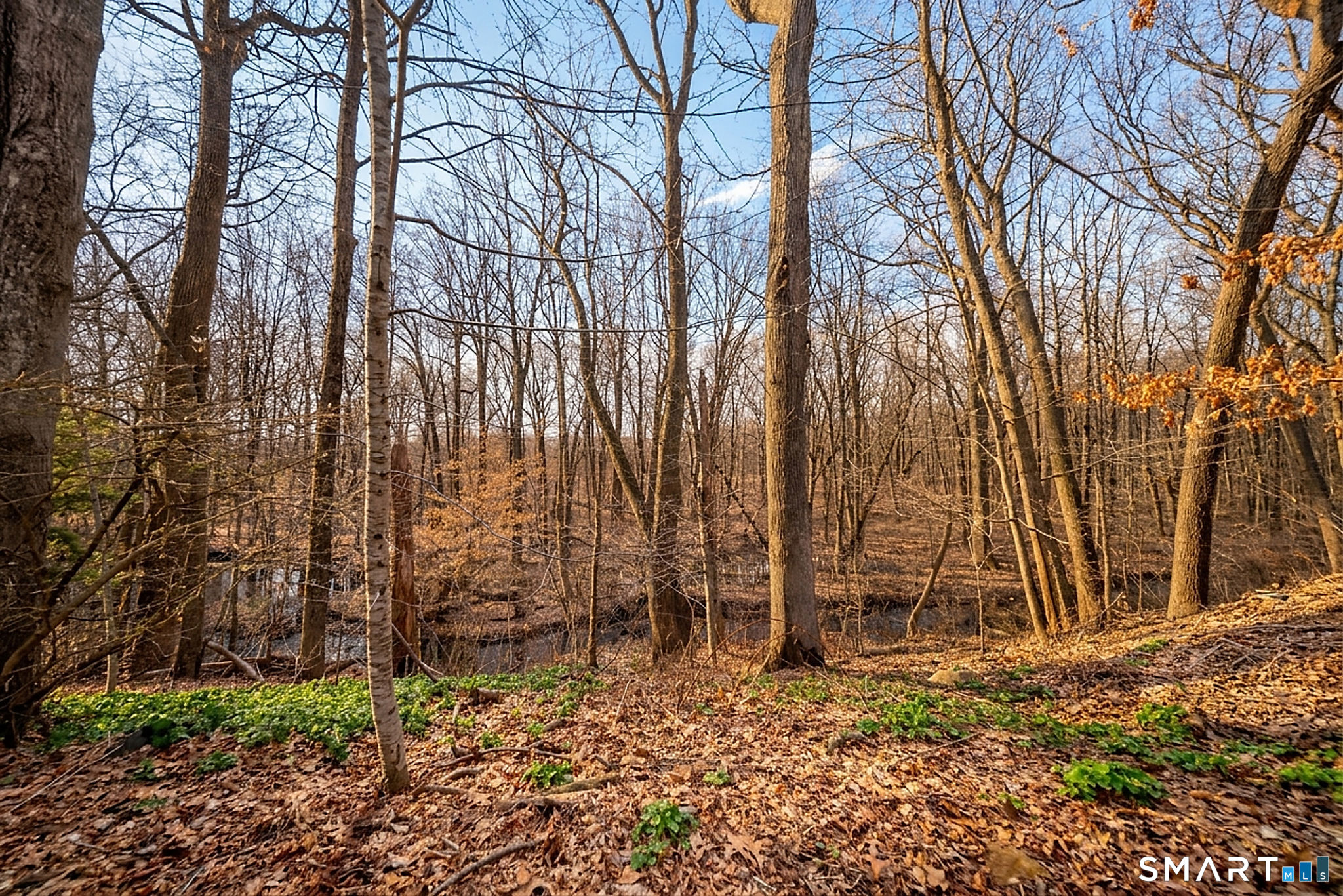 405 Pond Meadow Road