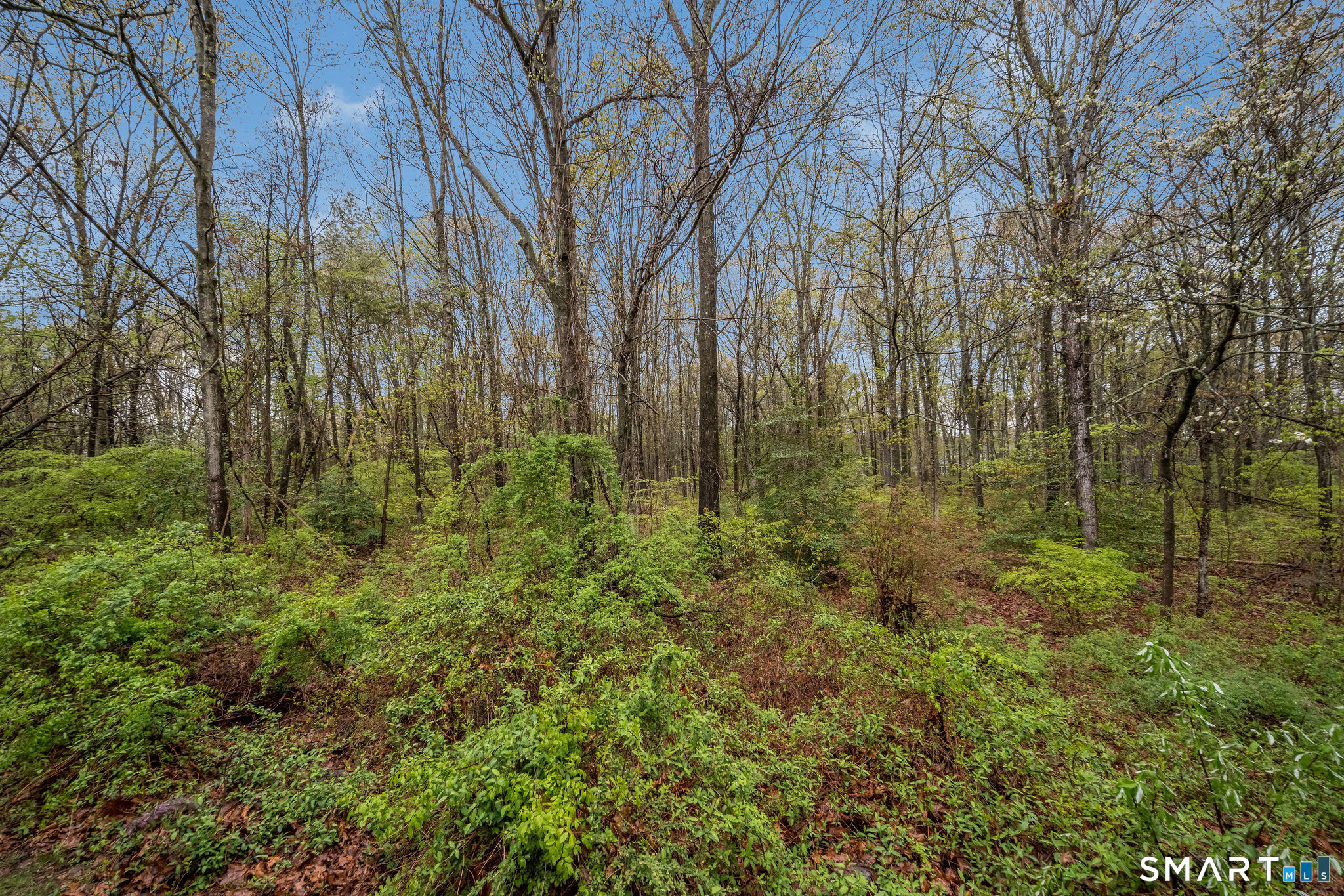 526 Horse Pond Road