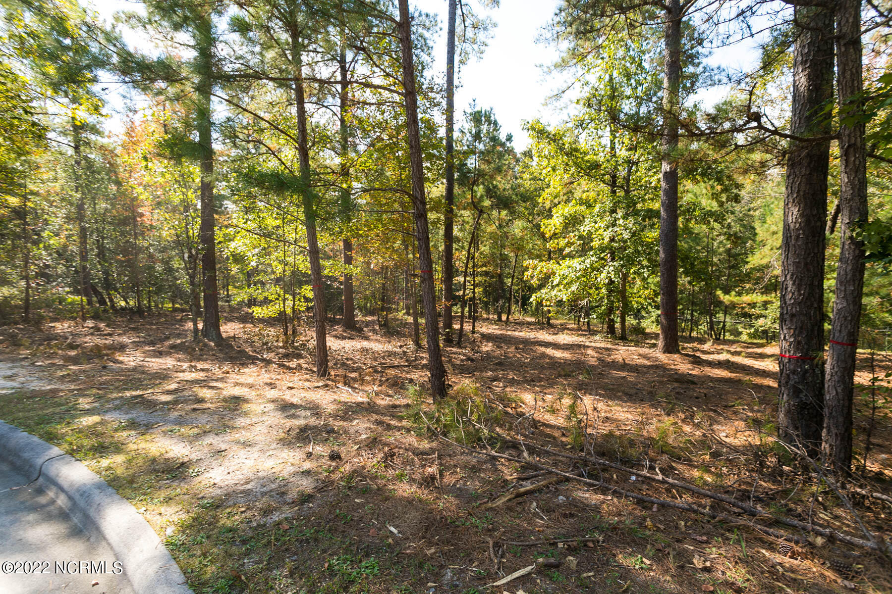 45 1831 Ridgeland Street