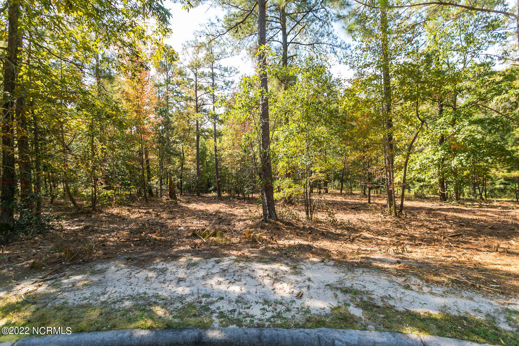 45 1831 Ridgeland Street