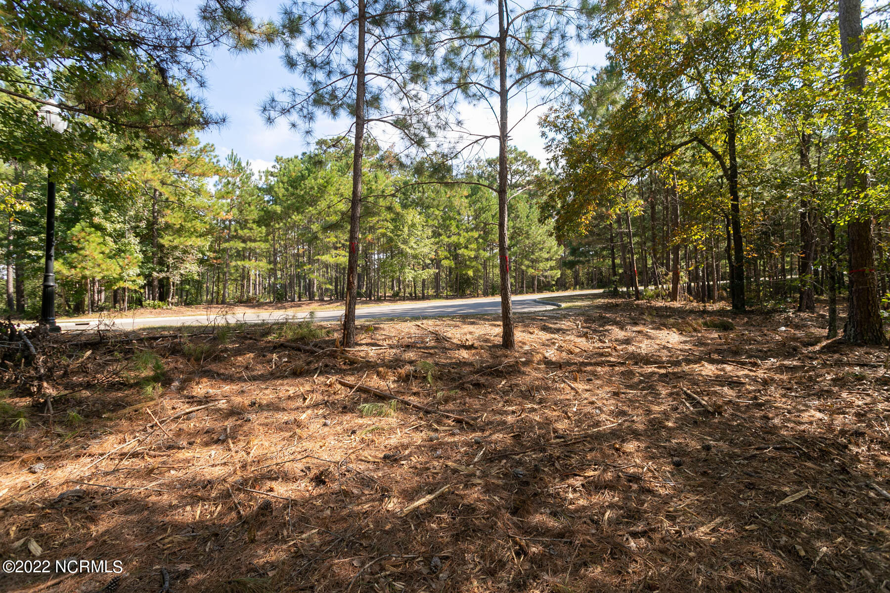 45 1831 Ridgeland Street