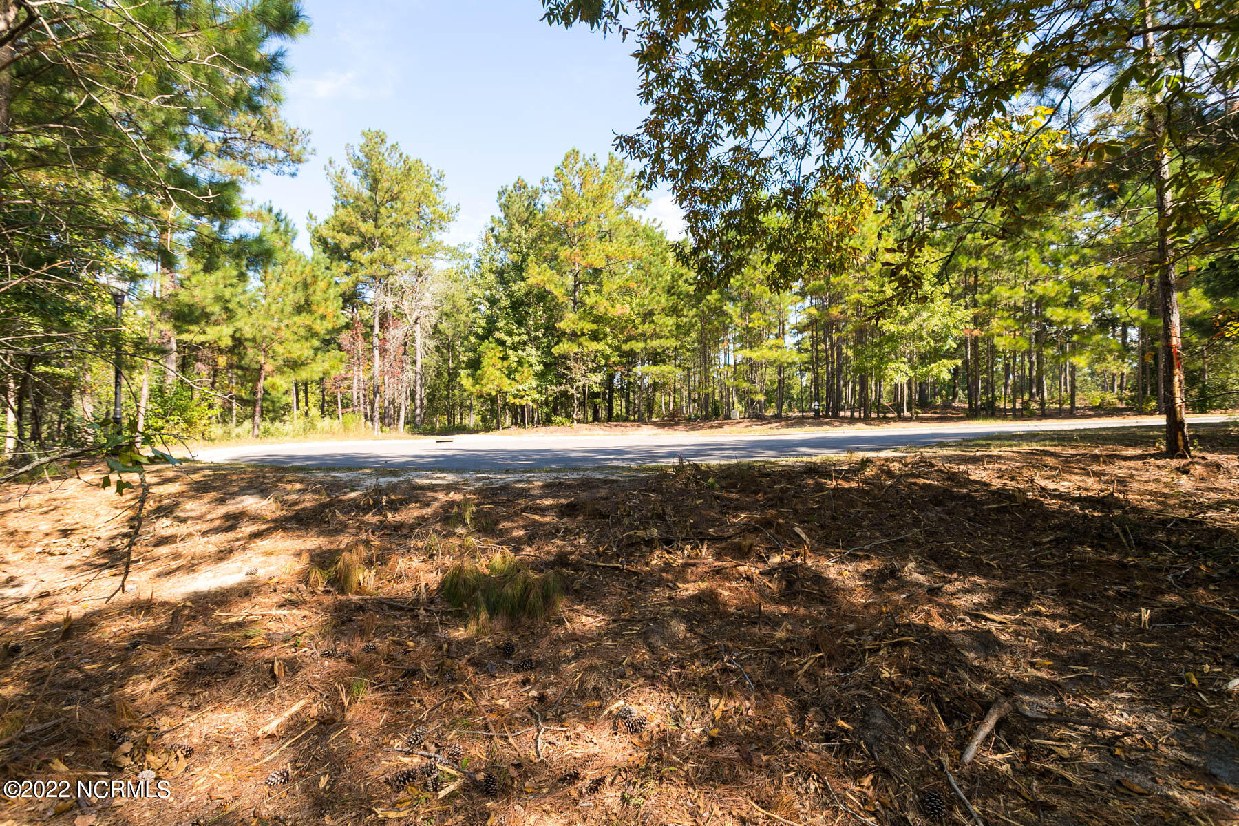 45 1831 Ridgeland Street