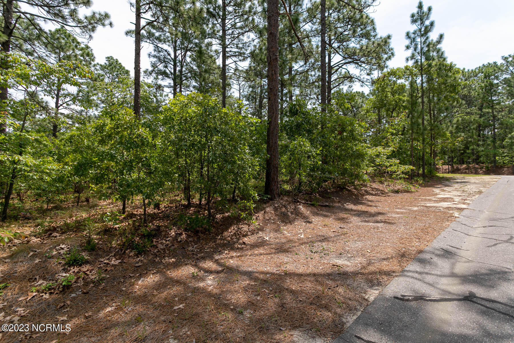 110 4145 Otter Drive