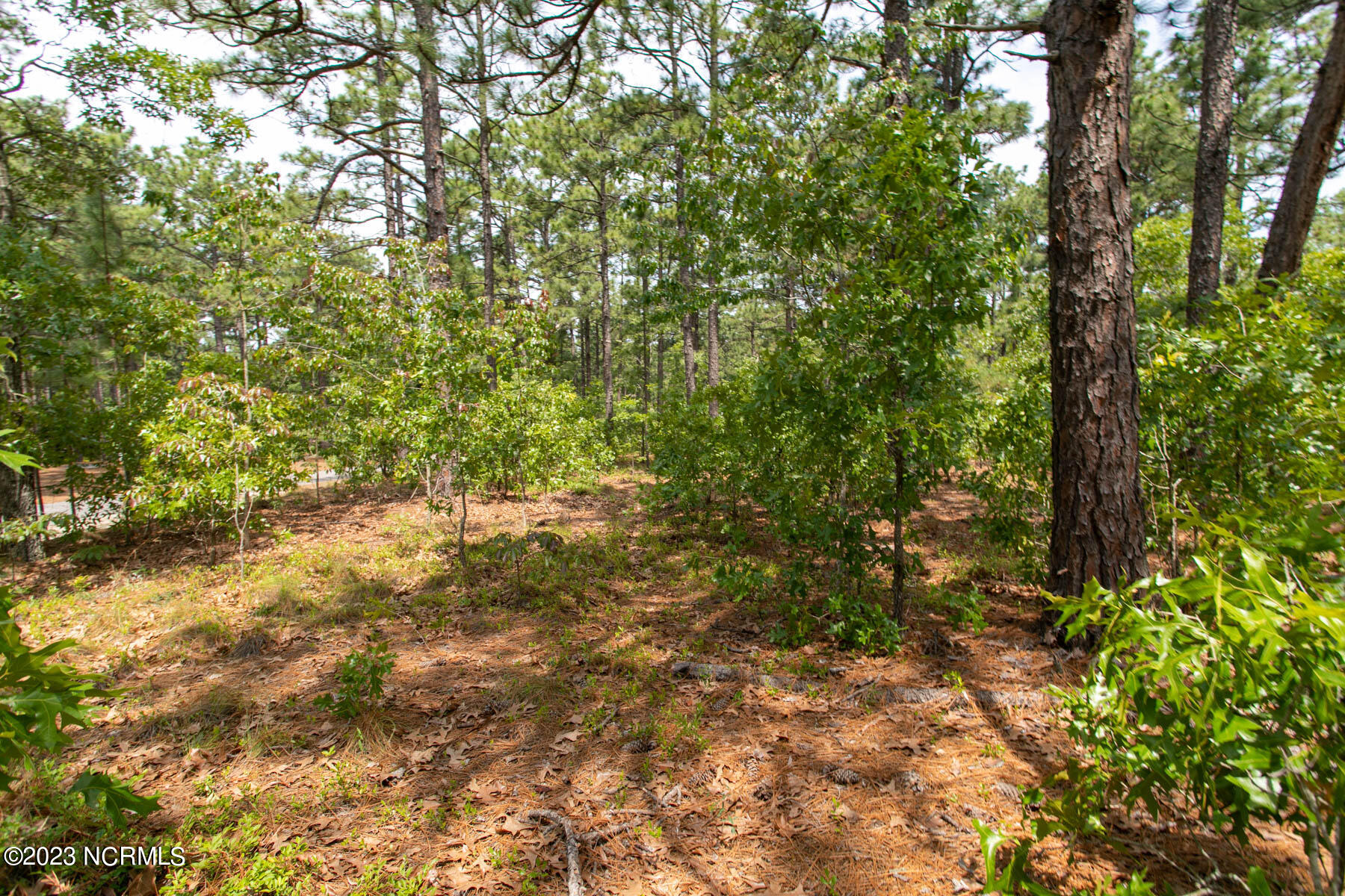 110 4145 Otter Drive