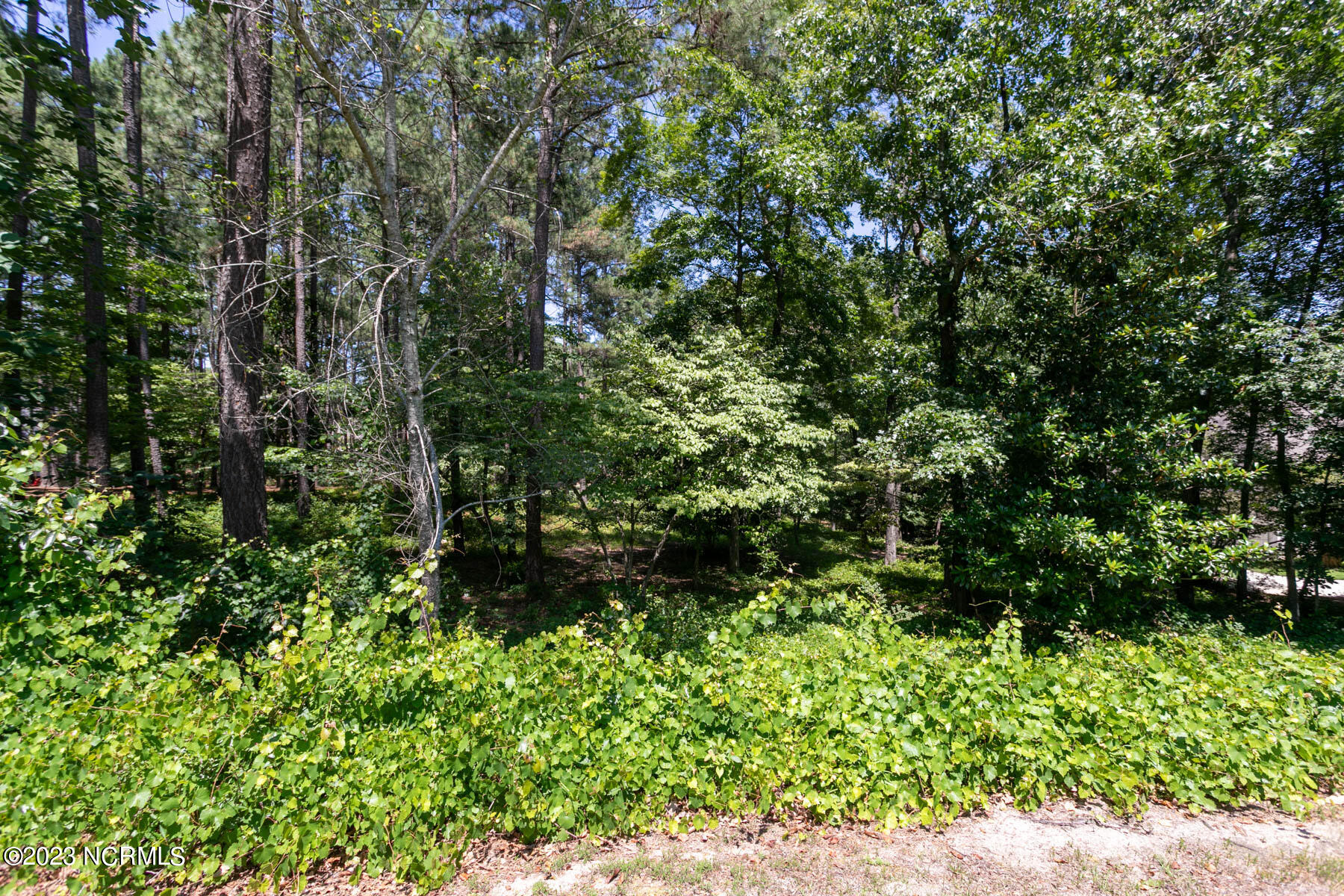 14 2435 Halkirk Drive