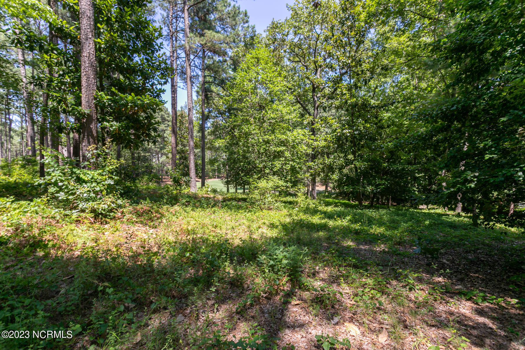 14 2435 Halkirk Drive