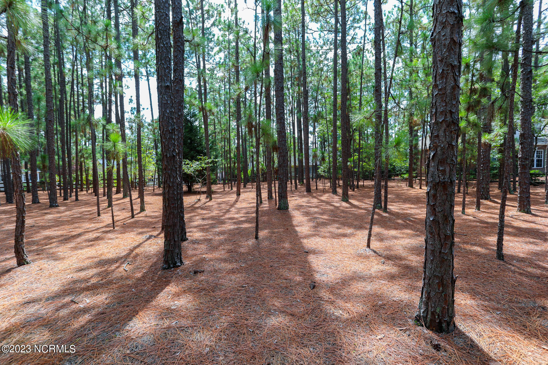 Tbd 89 Pin Cherry Lane