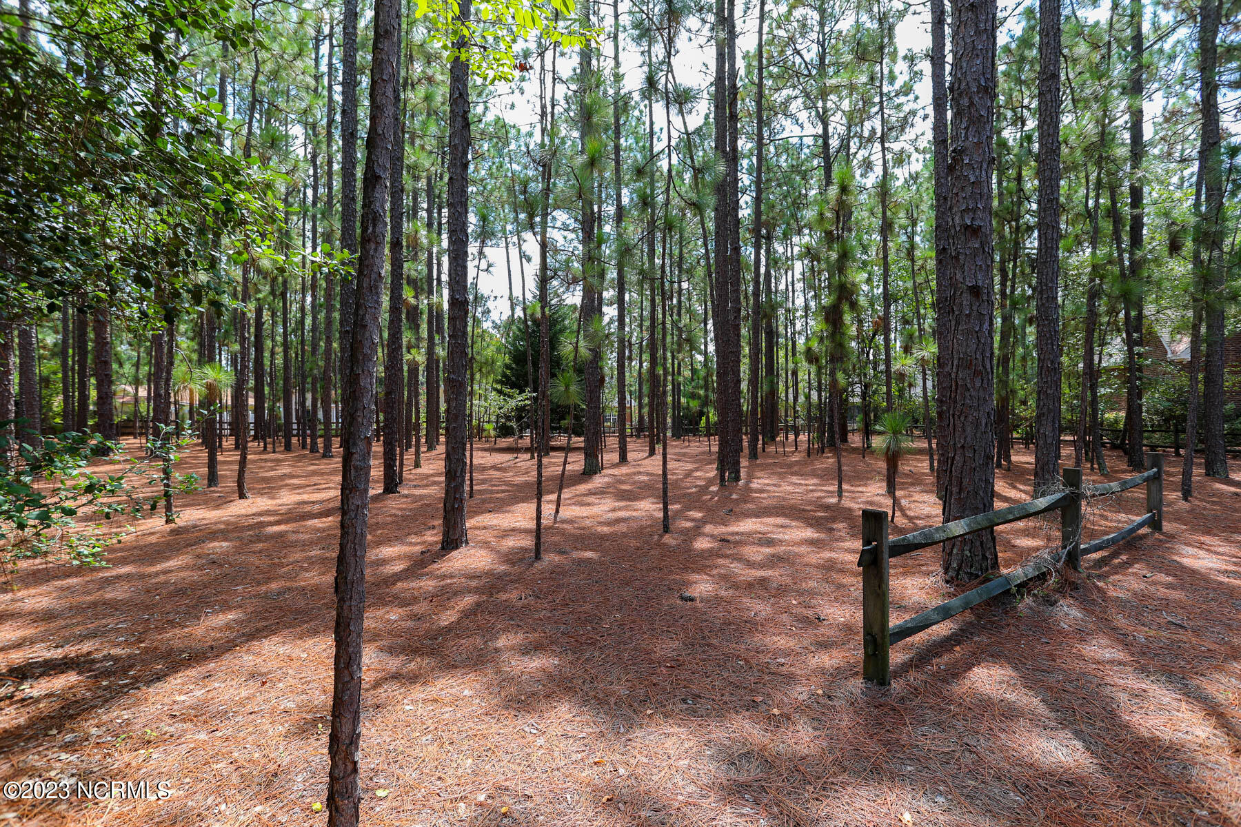 Tbd 89 Pin Cherry Lane