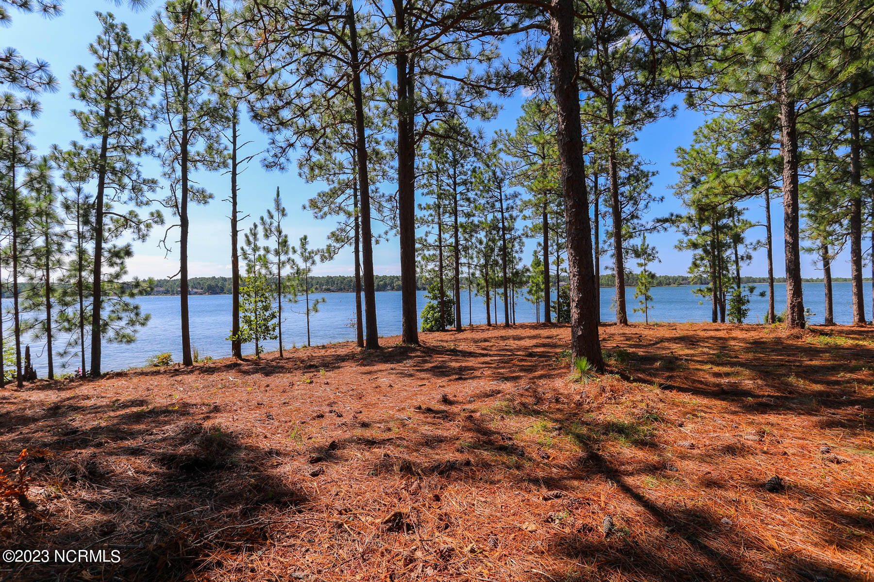 105 3270 Mace Point