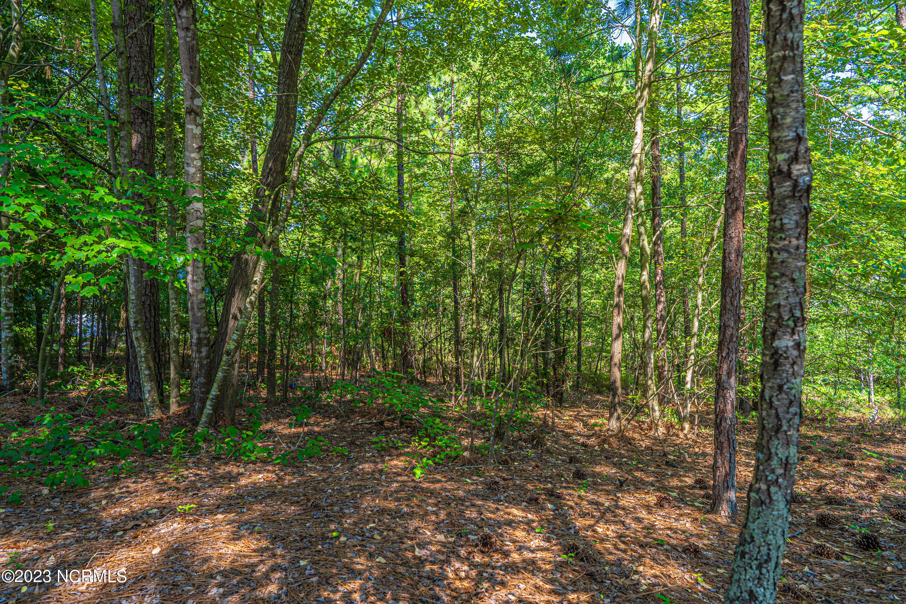 230 3213 Otter Court