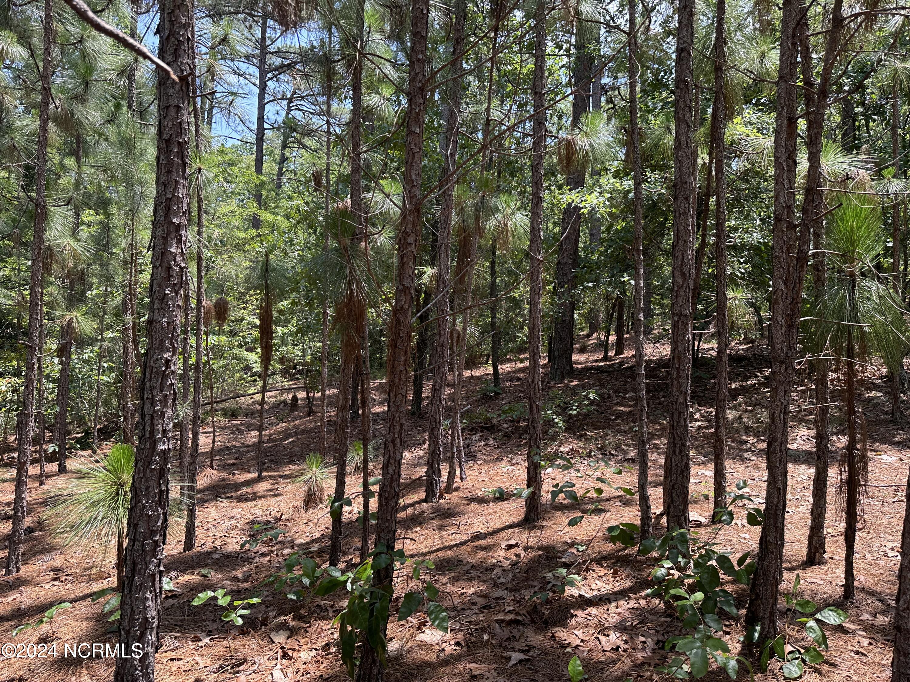 210 1002 Meyer Farm Drive