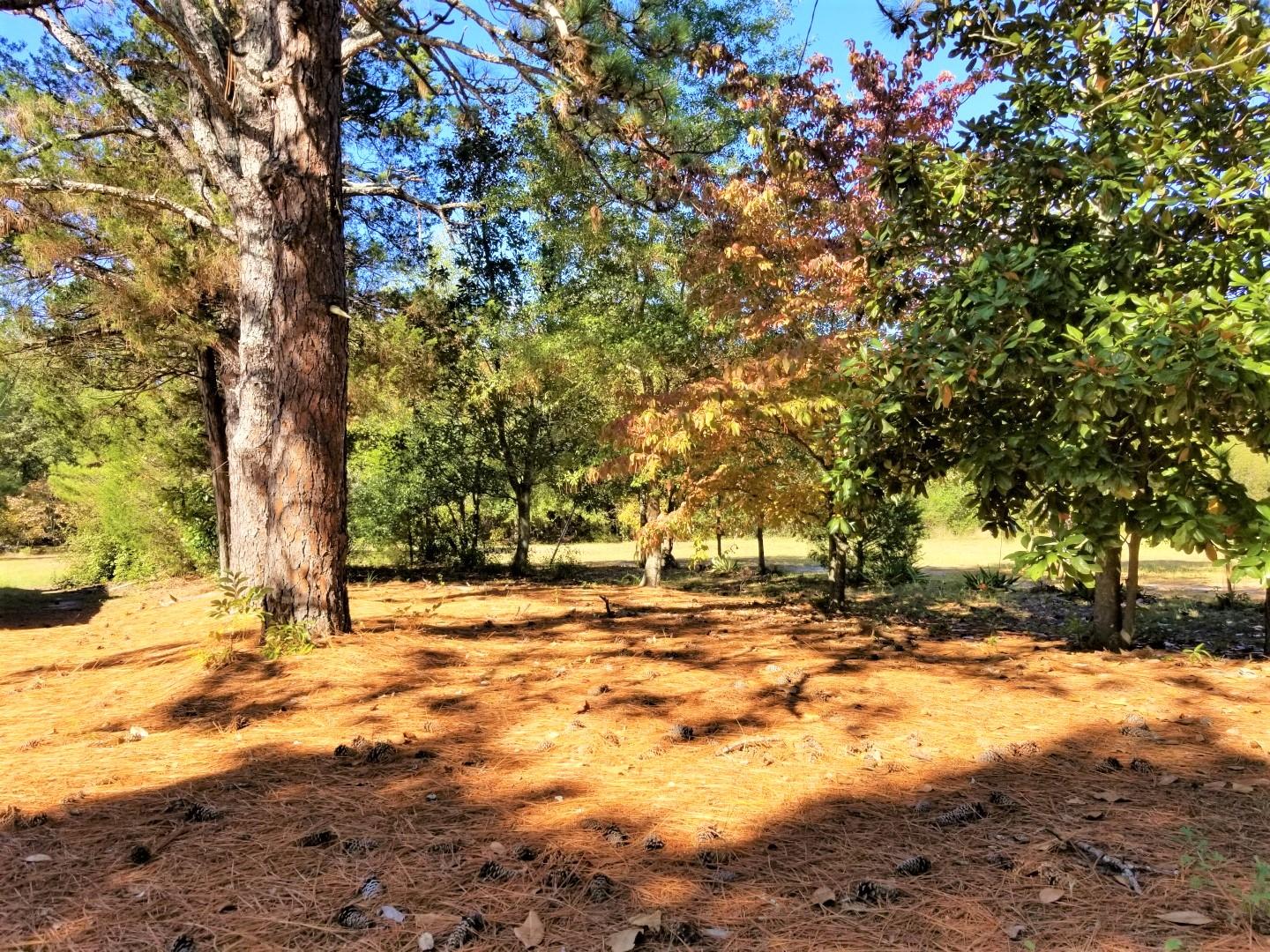 4516 Union Church Road