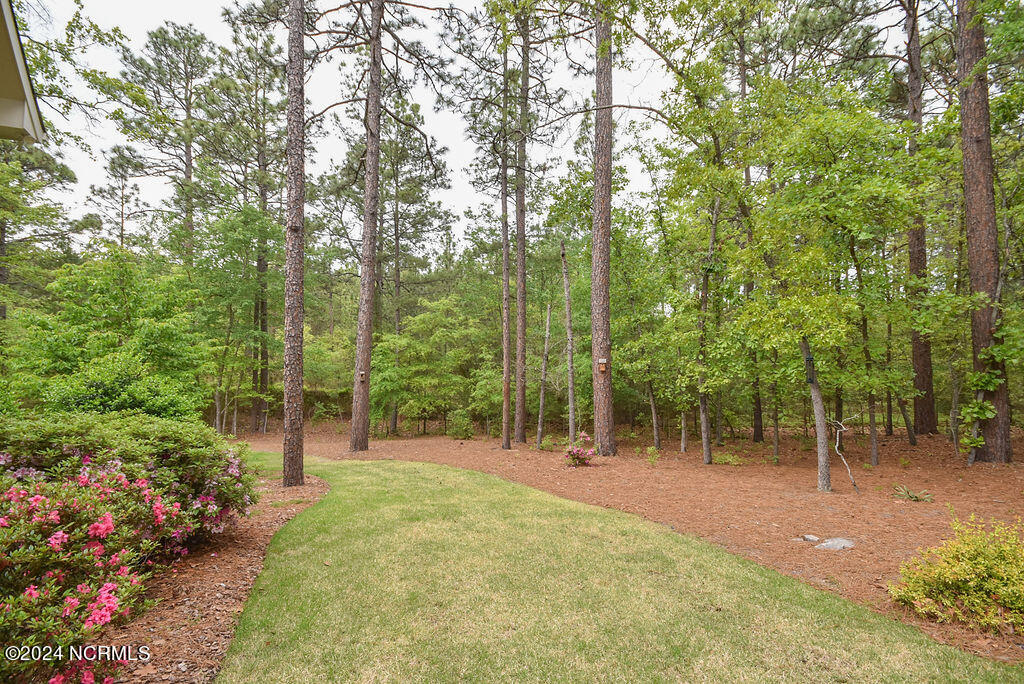 102 Greystones Court