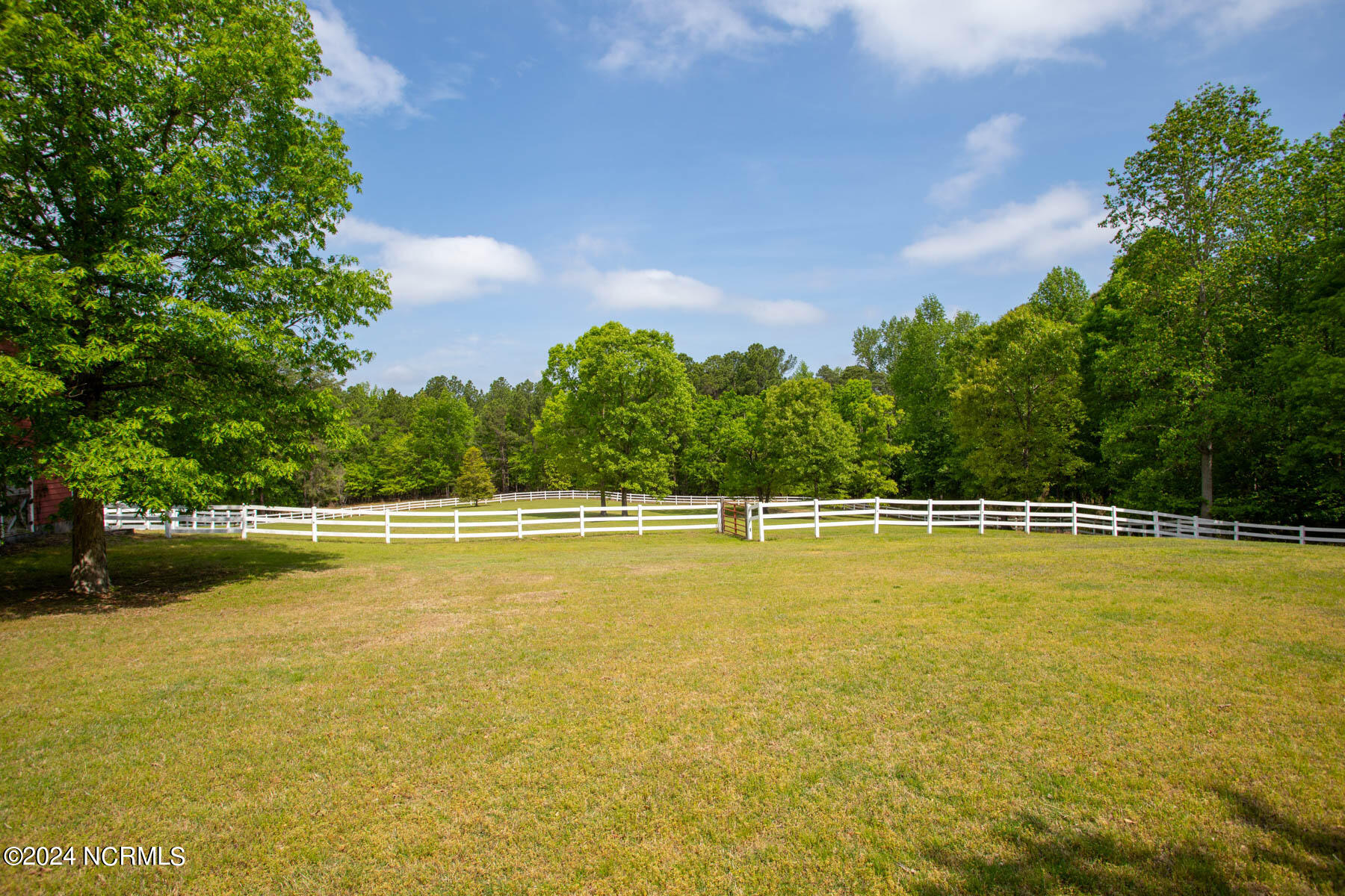 195 Shagbark Court