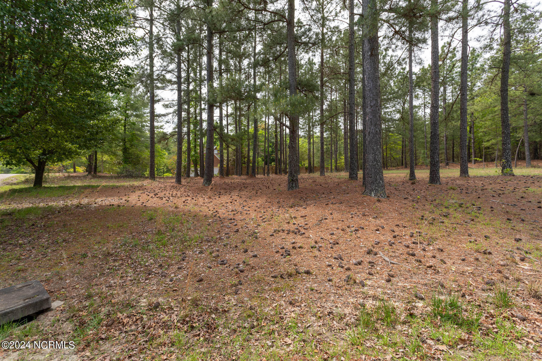 Tbd 87 Shagbark Court