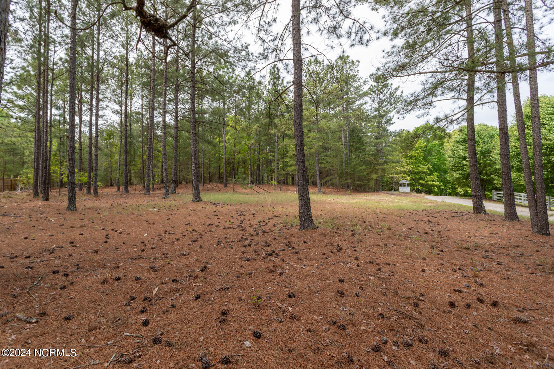 Tbd 87 Shagbark Court