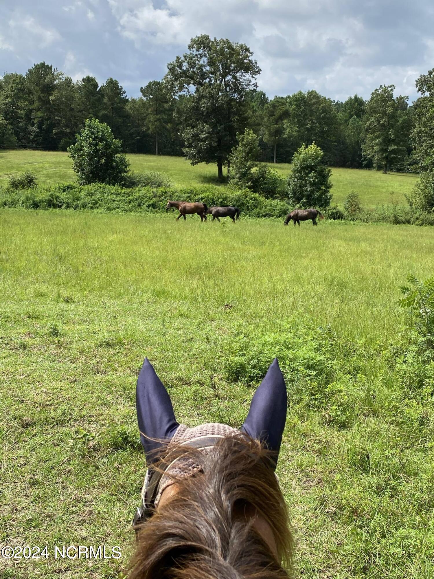 310 Old Garner Place Road