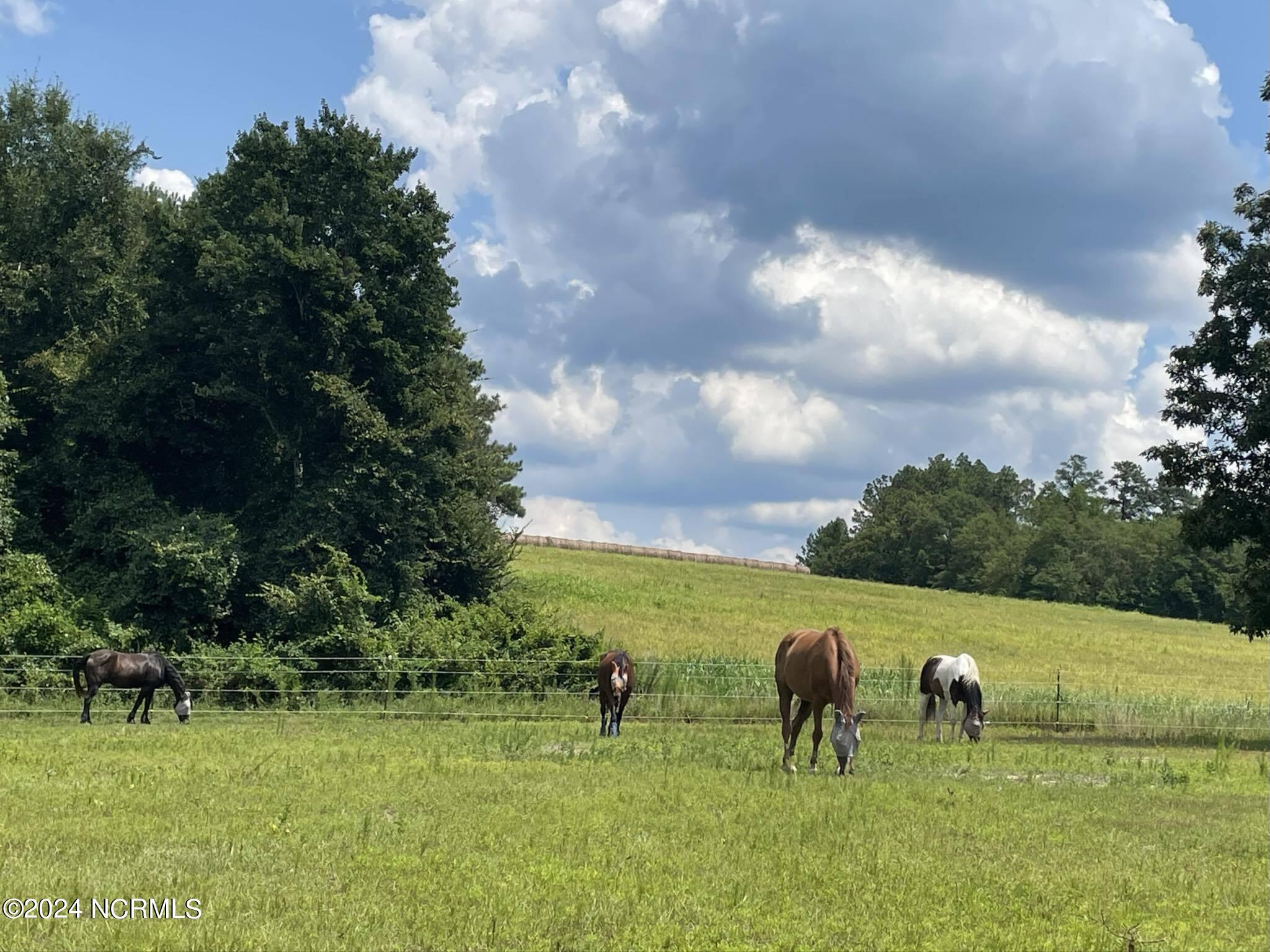 310 Old Garner Place Road