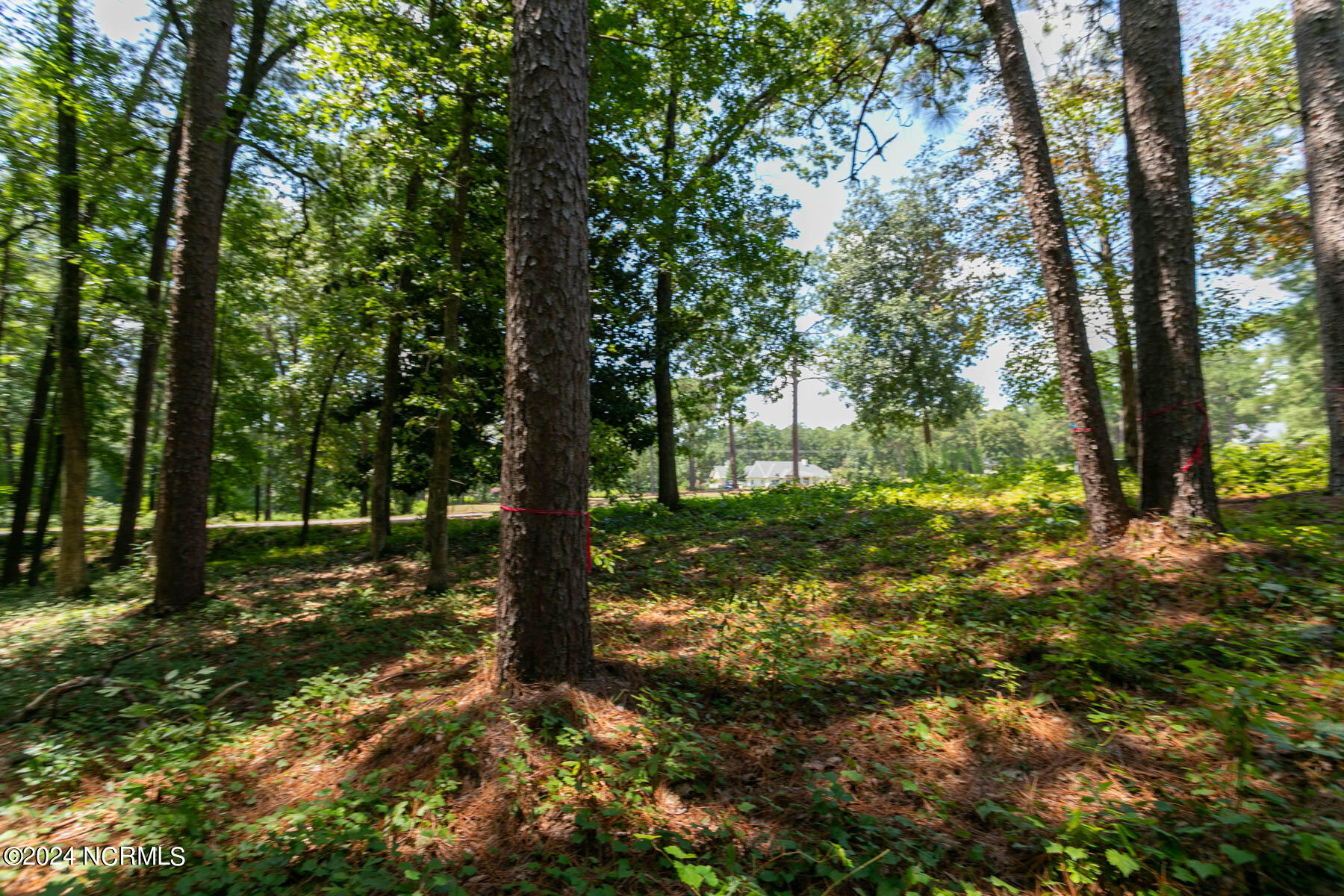 14 2461 Pomeroy Drive