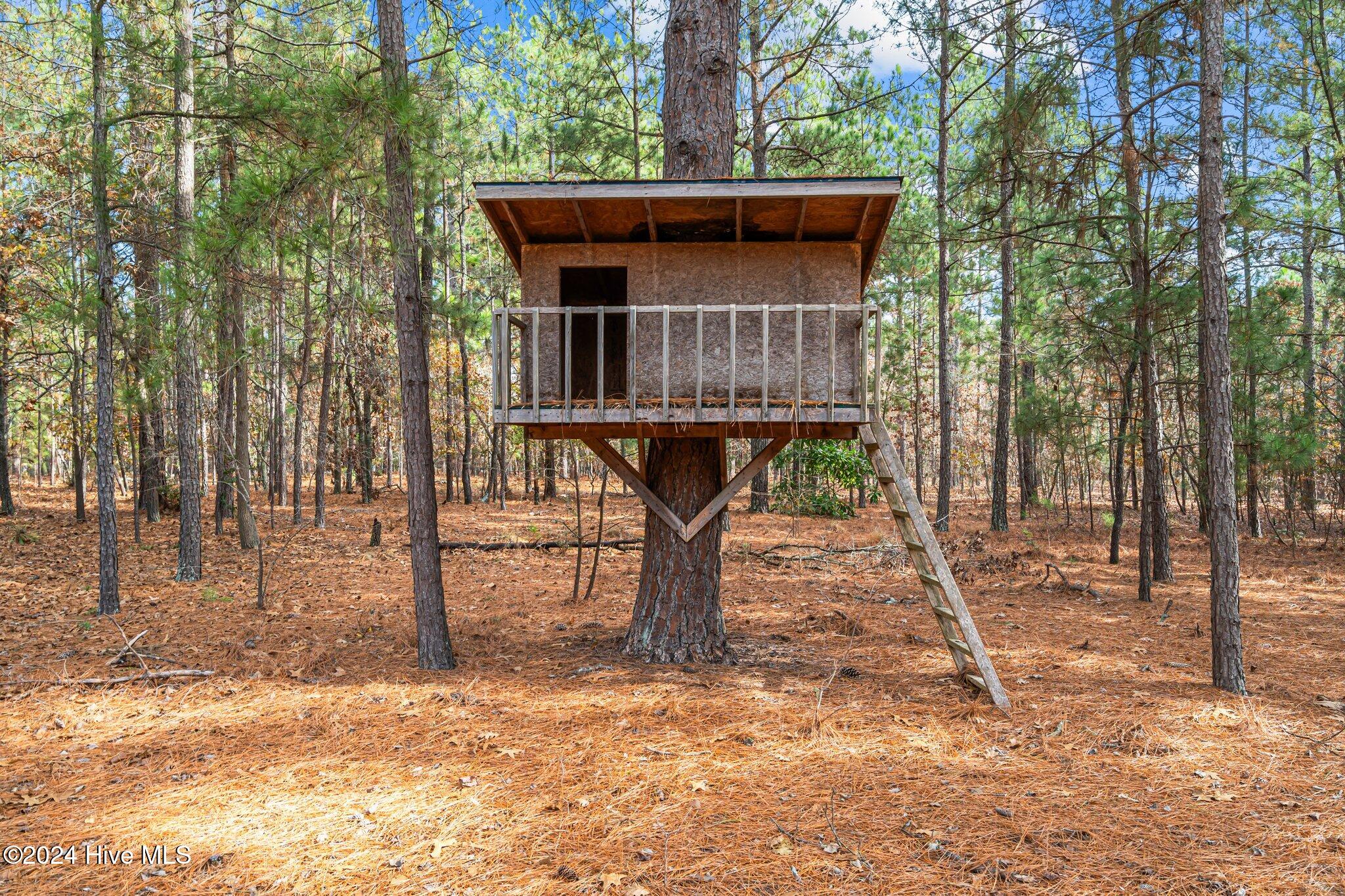 85 Pine Lake Drive