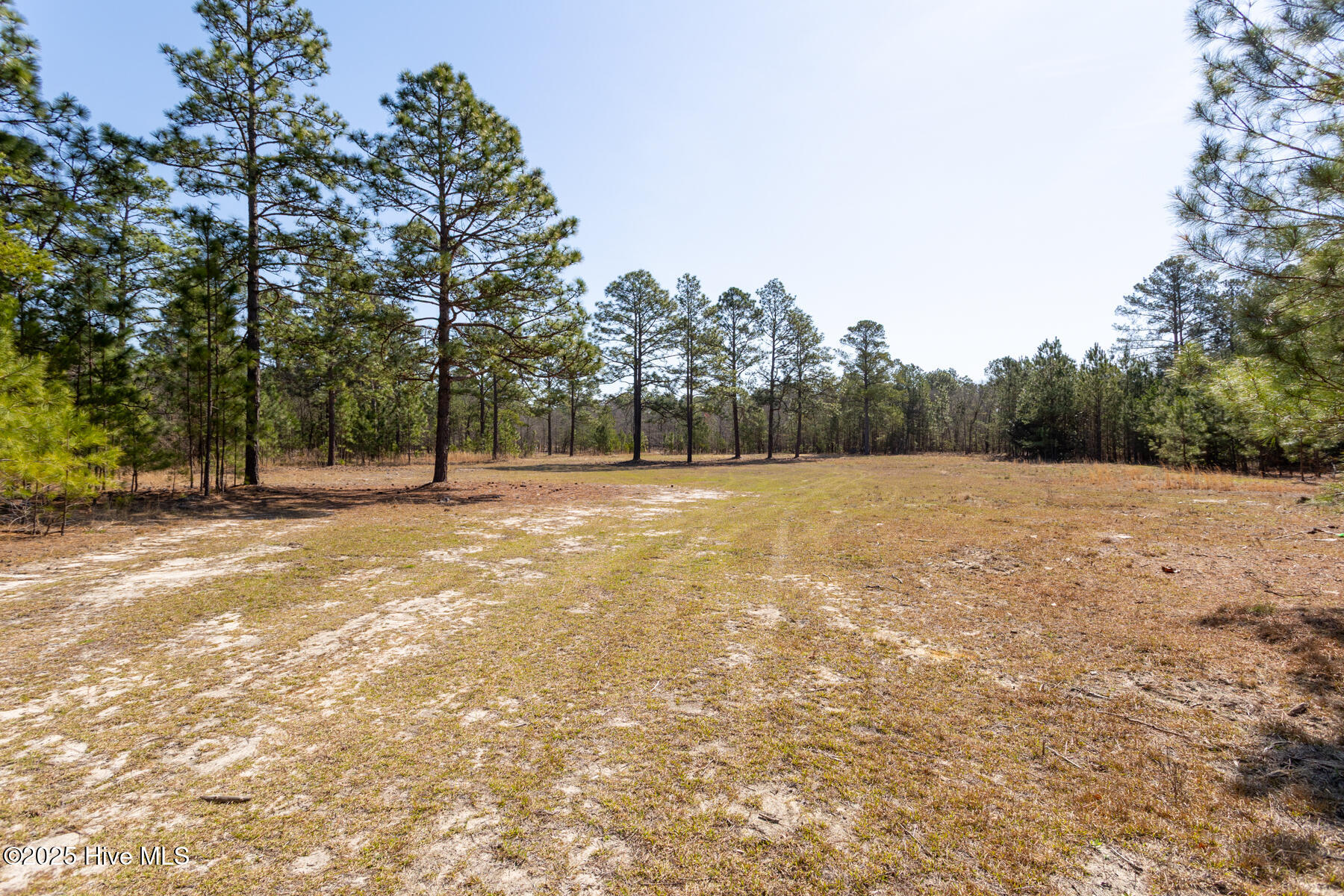 210 TRACT 3 Palmer Grey Court