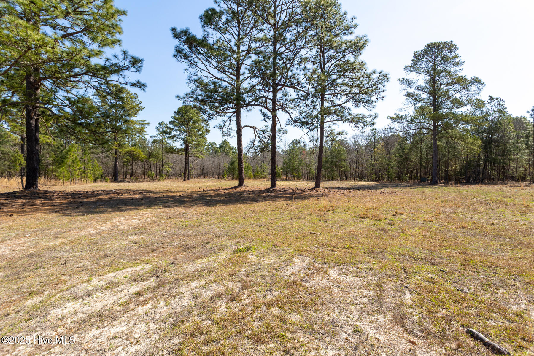 210 TRACT 3 Palmer Grey Court