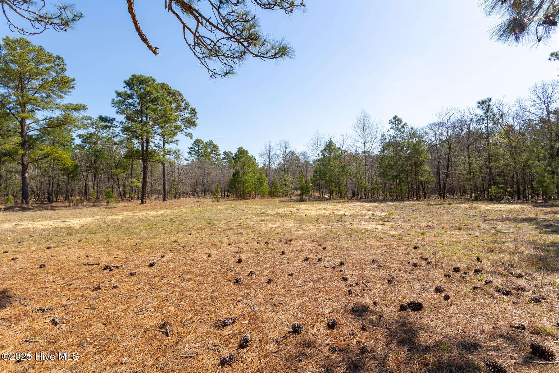 210 TRACT 3 Palmer Grey Court