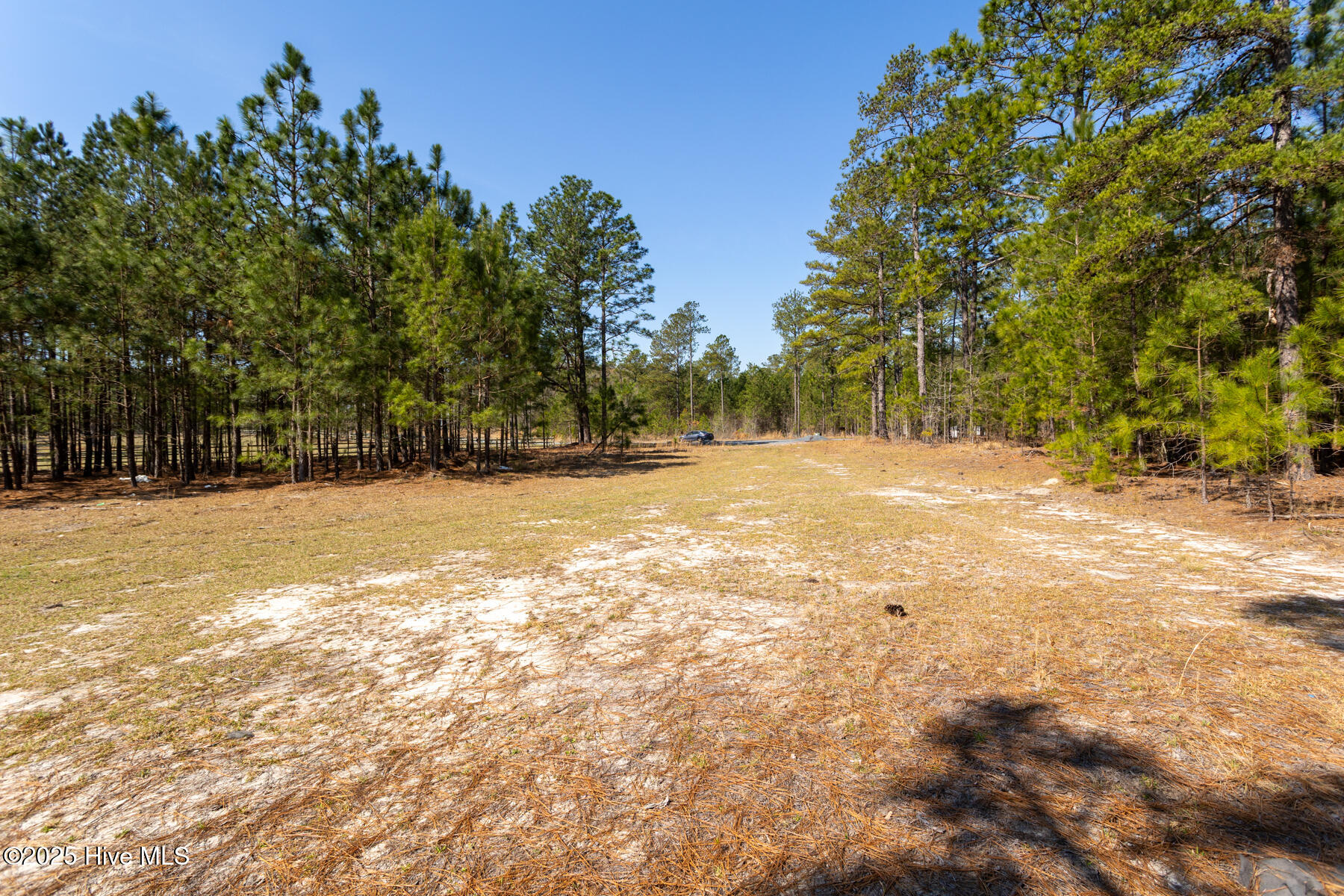 210 TRACT 3 Palmer Grey Court