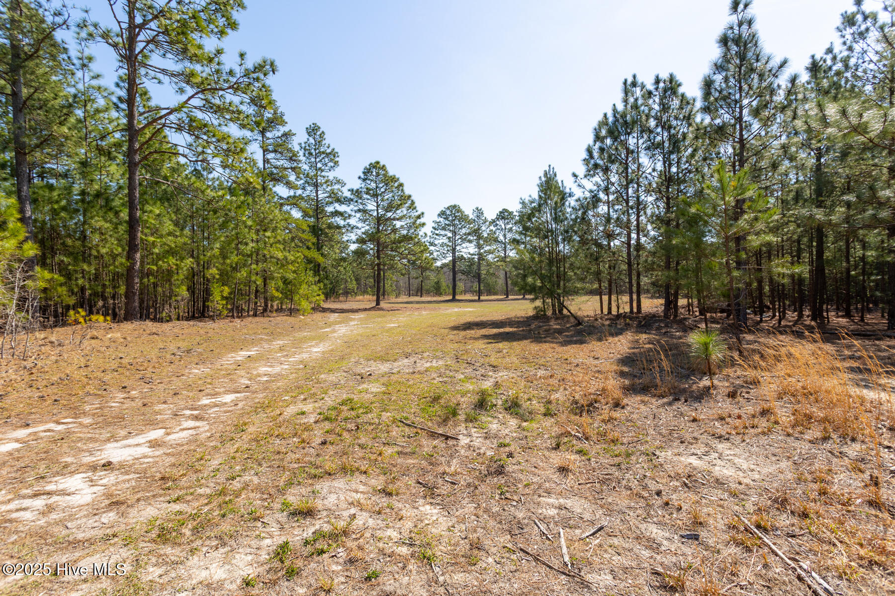 210 TRACT 3 Palmer Grey Court