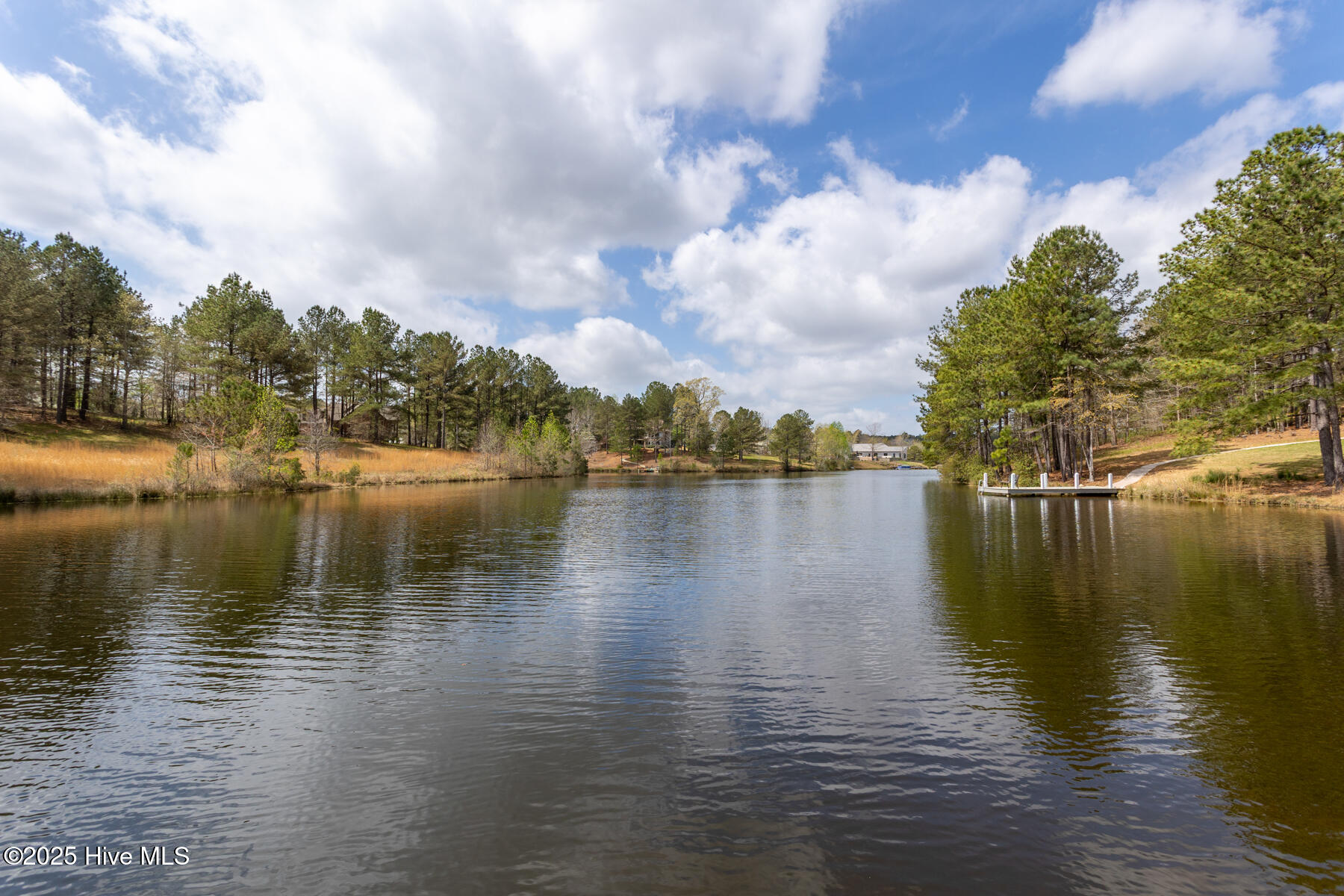 115 Ellens Point