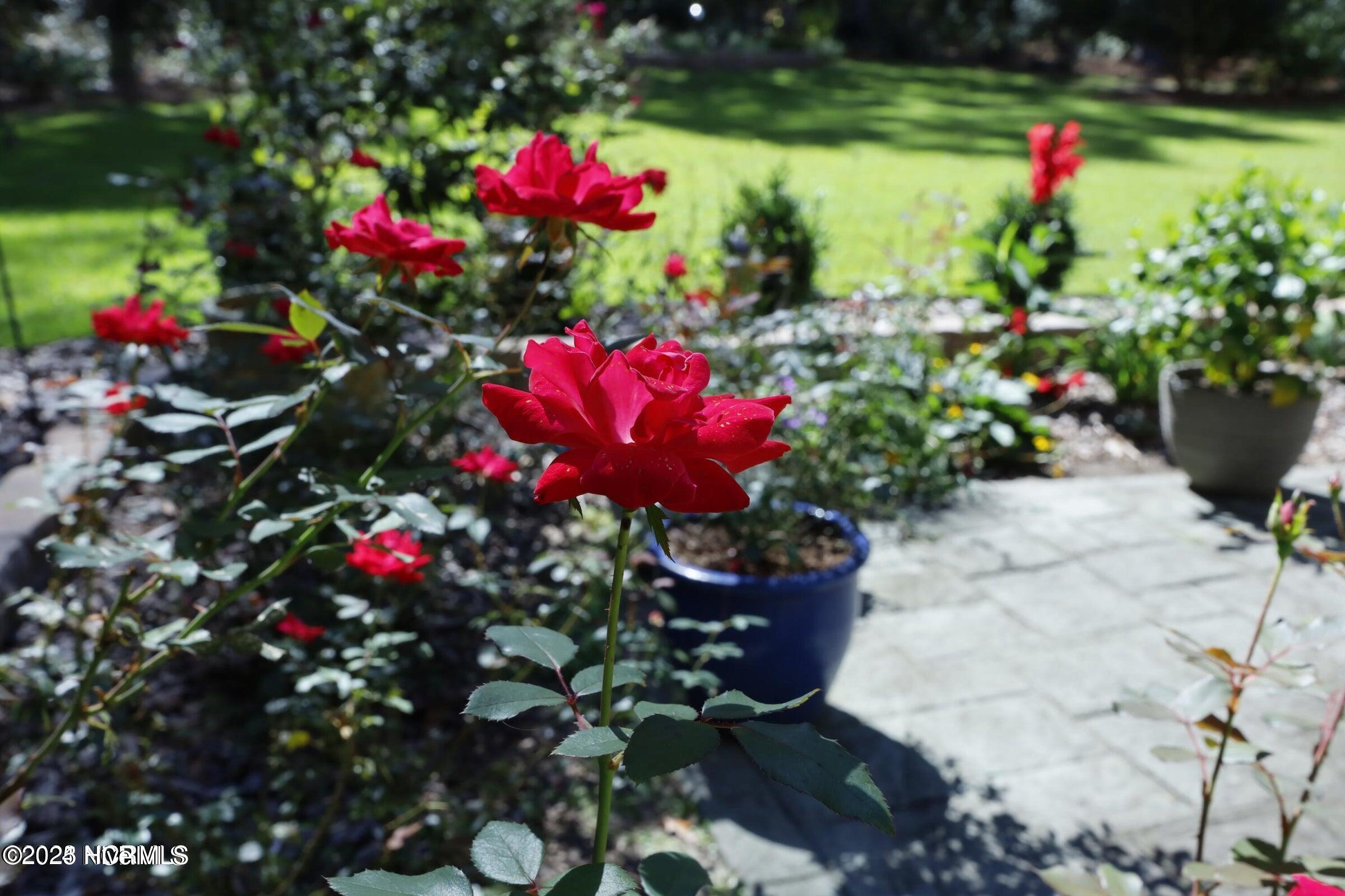 1655 Fort Bragg Road S