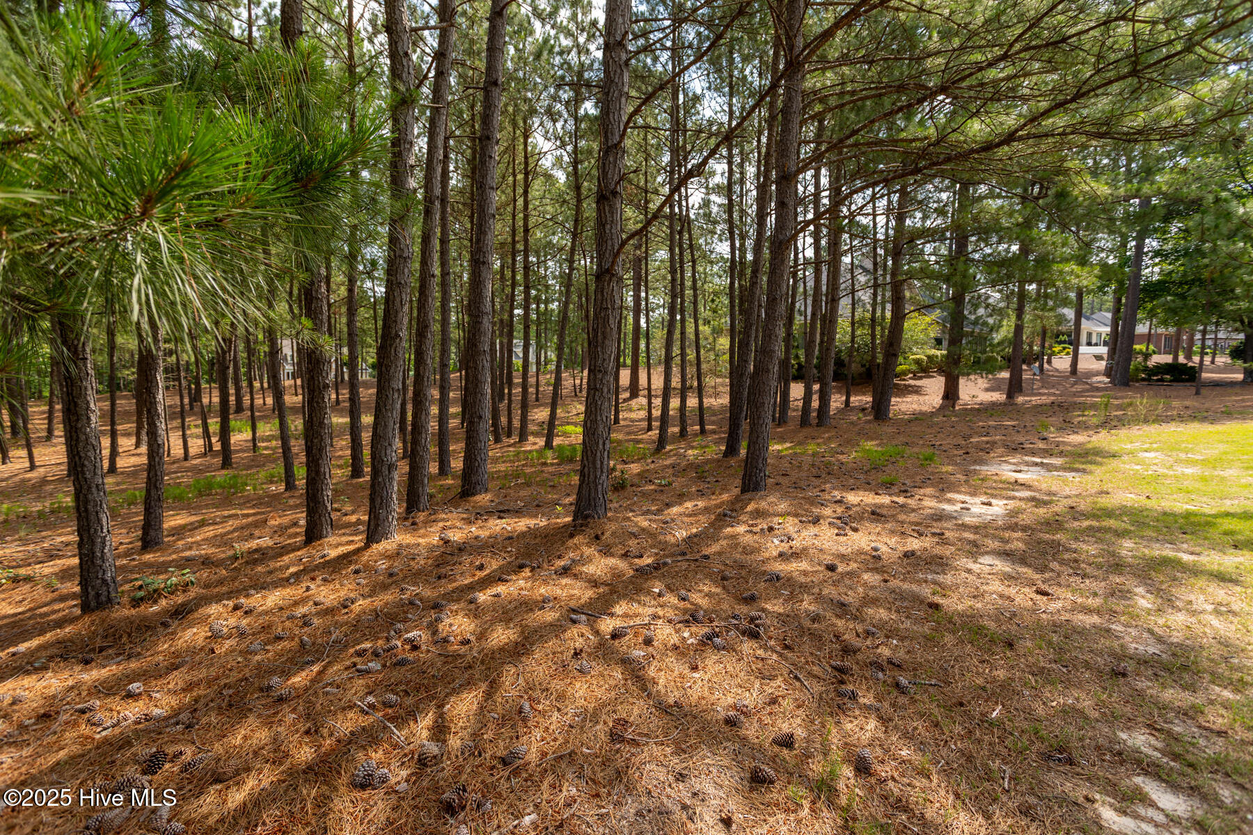 41 2423 Glasgow Drive