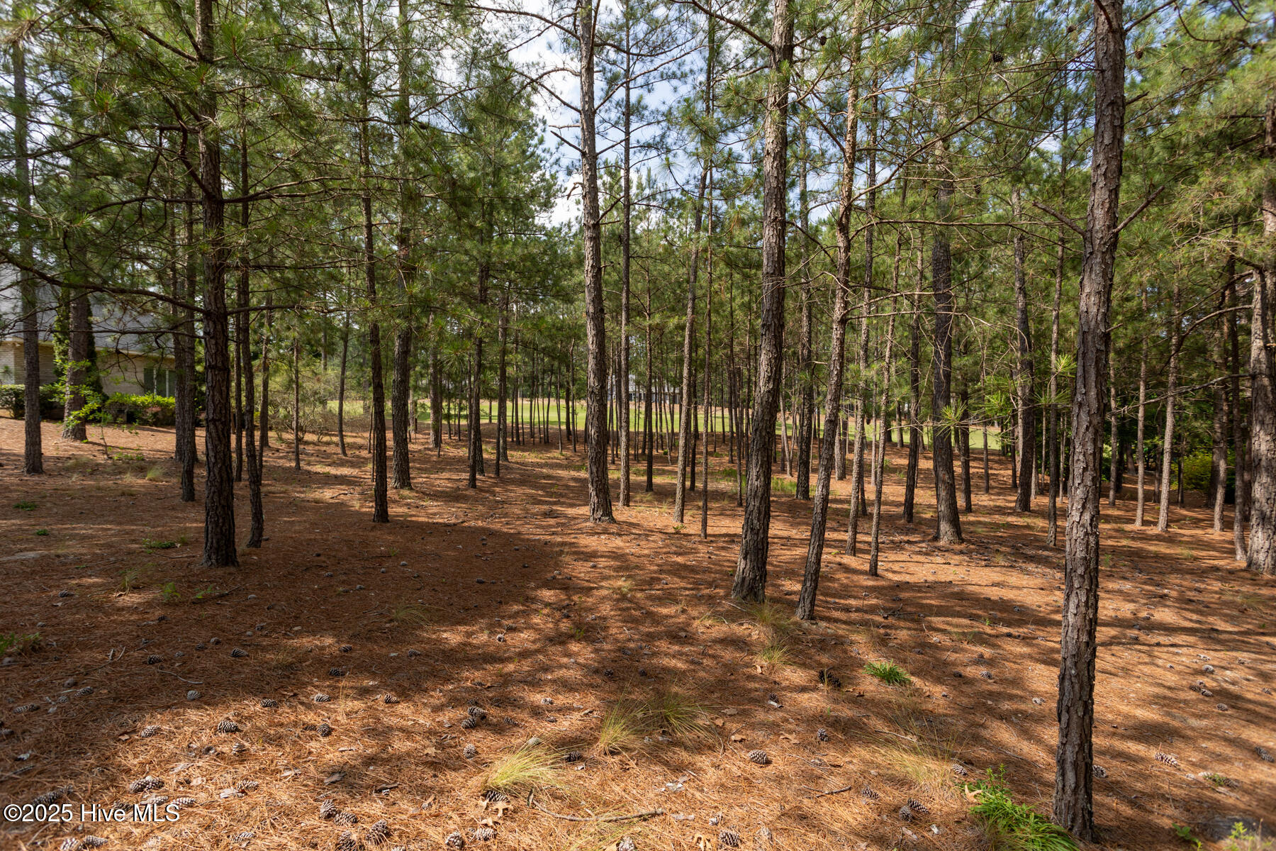 41 2423 Glasgow Drive