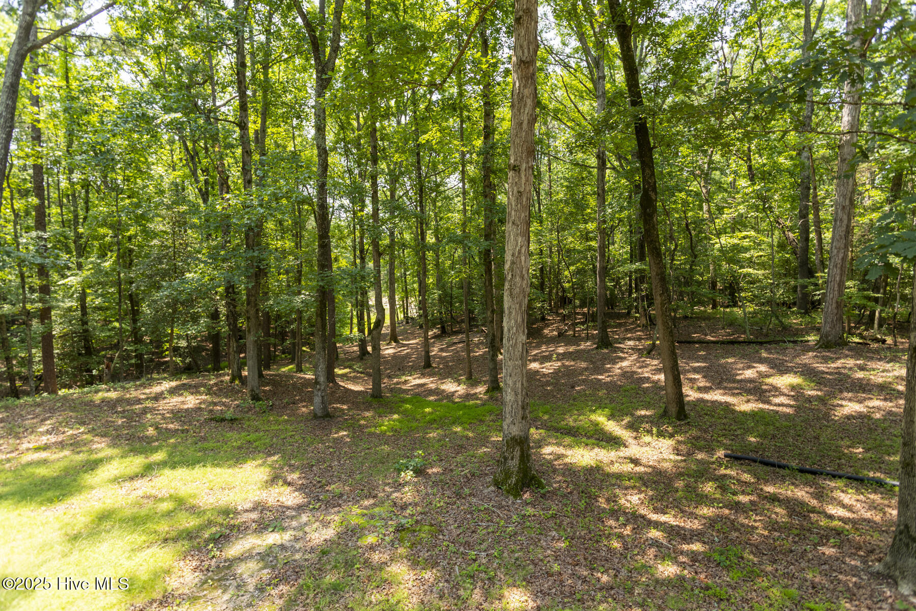 108 Western Trail