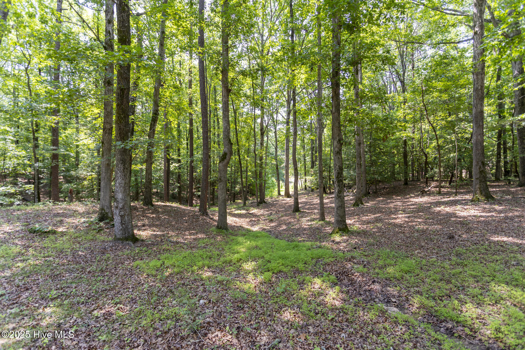 108 Western Trail
