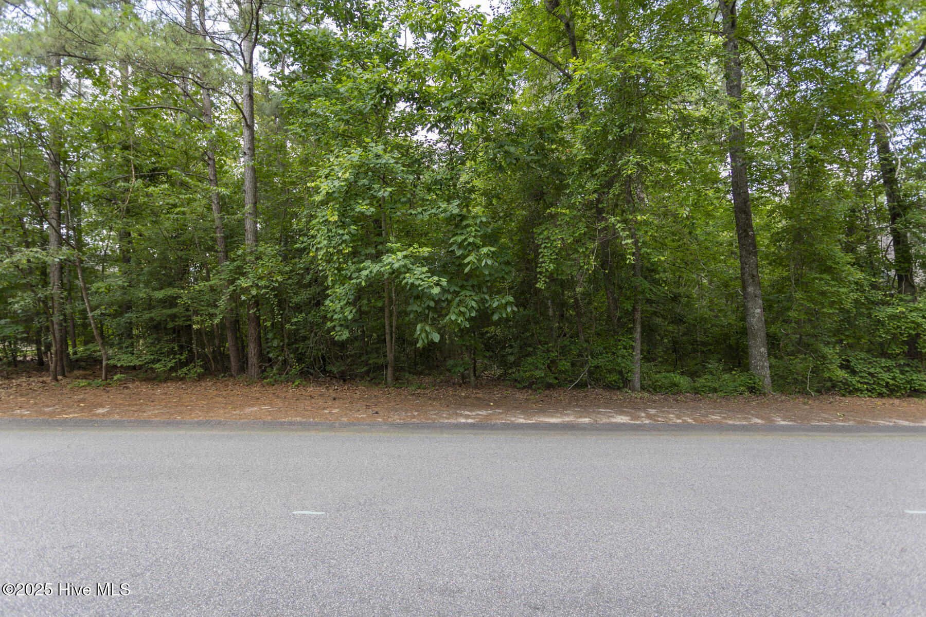 251 39 National Drive