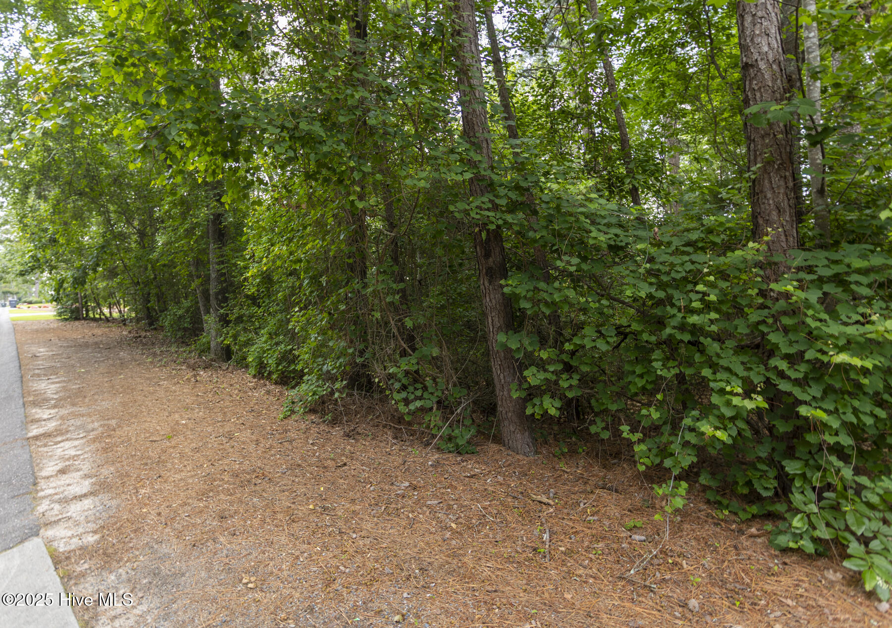 251 39 National Drive