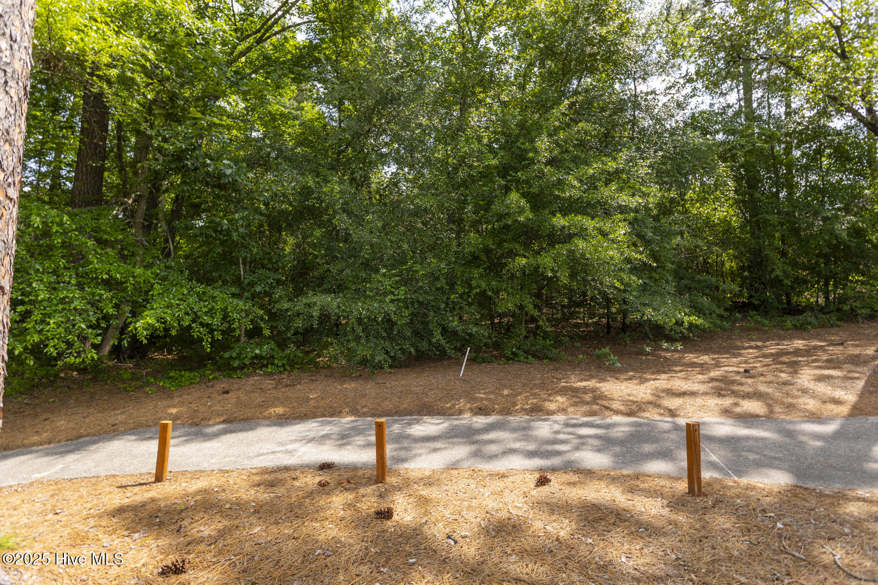 251 39 National Drive