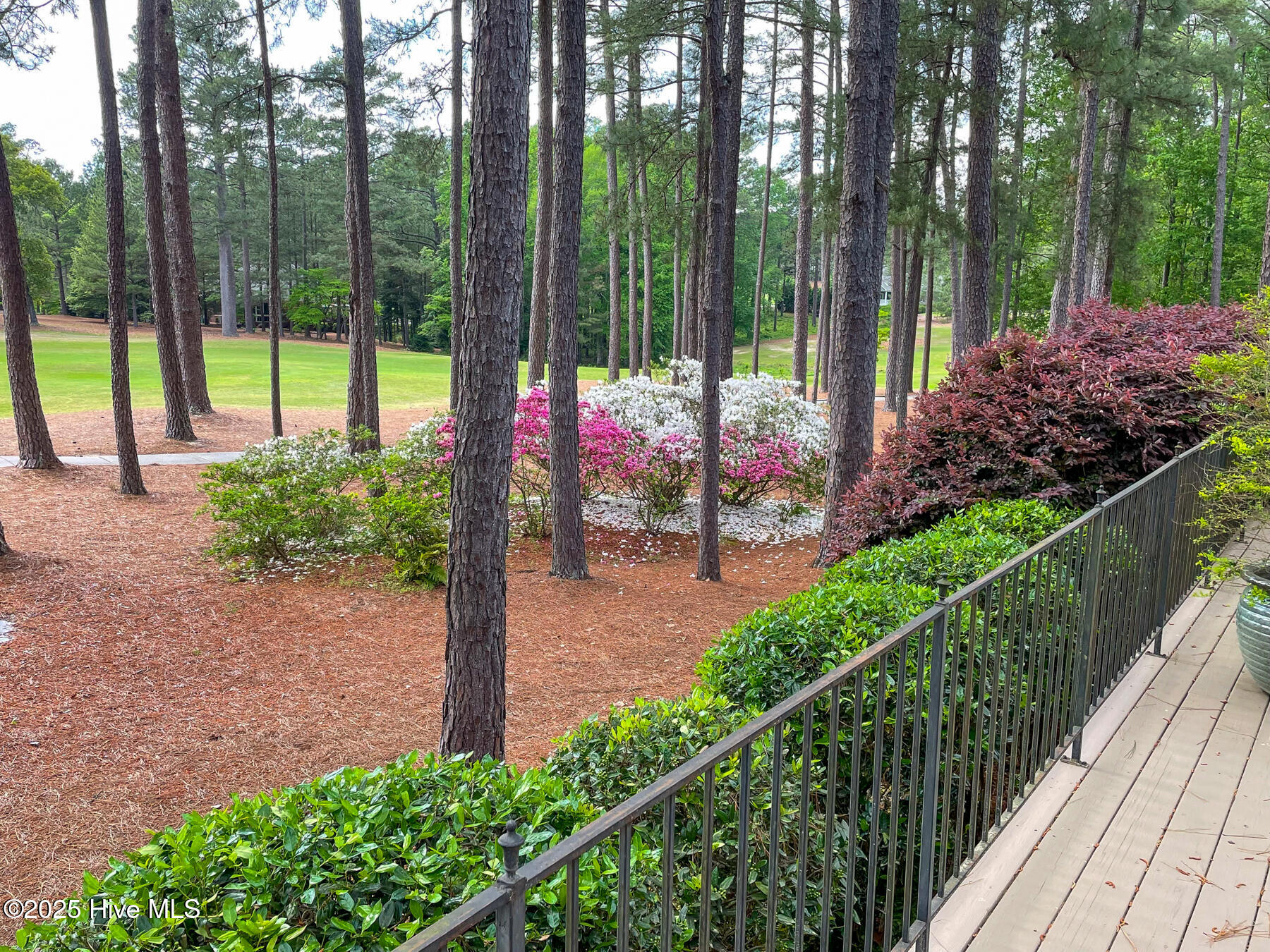 24 Mcmichael Drive