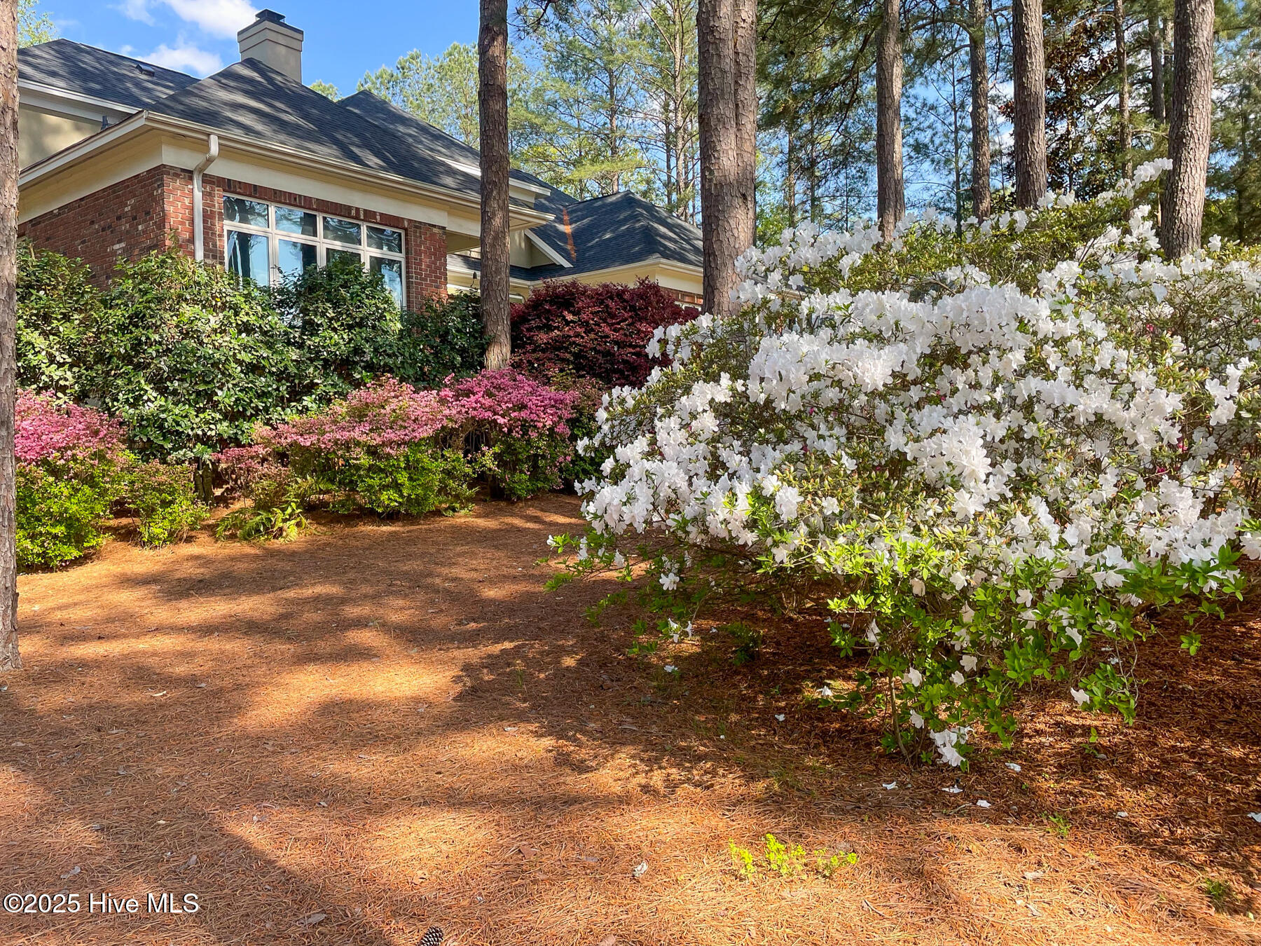 24 Mcmichael Drive